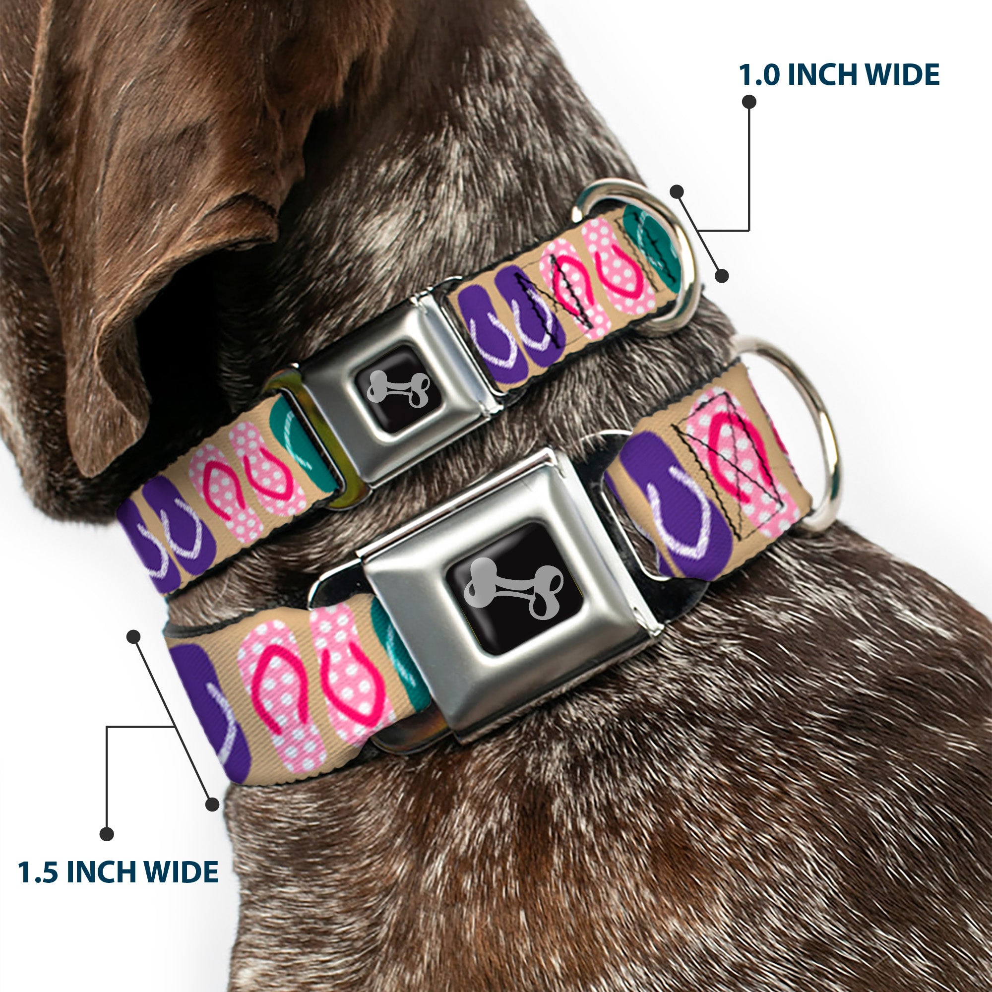 Dog Bone Seatbelt Buckle Collar - Flip Flops5 CLOSE-UP Sand/Multi Color Seatbelt Buckle Collars Buckle-Down