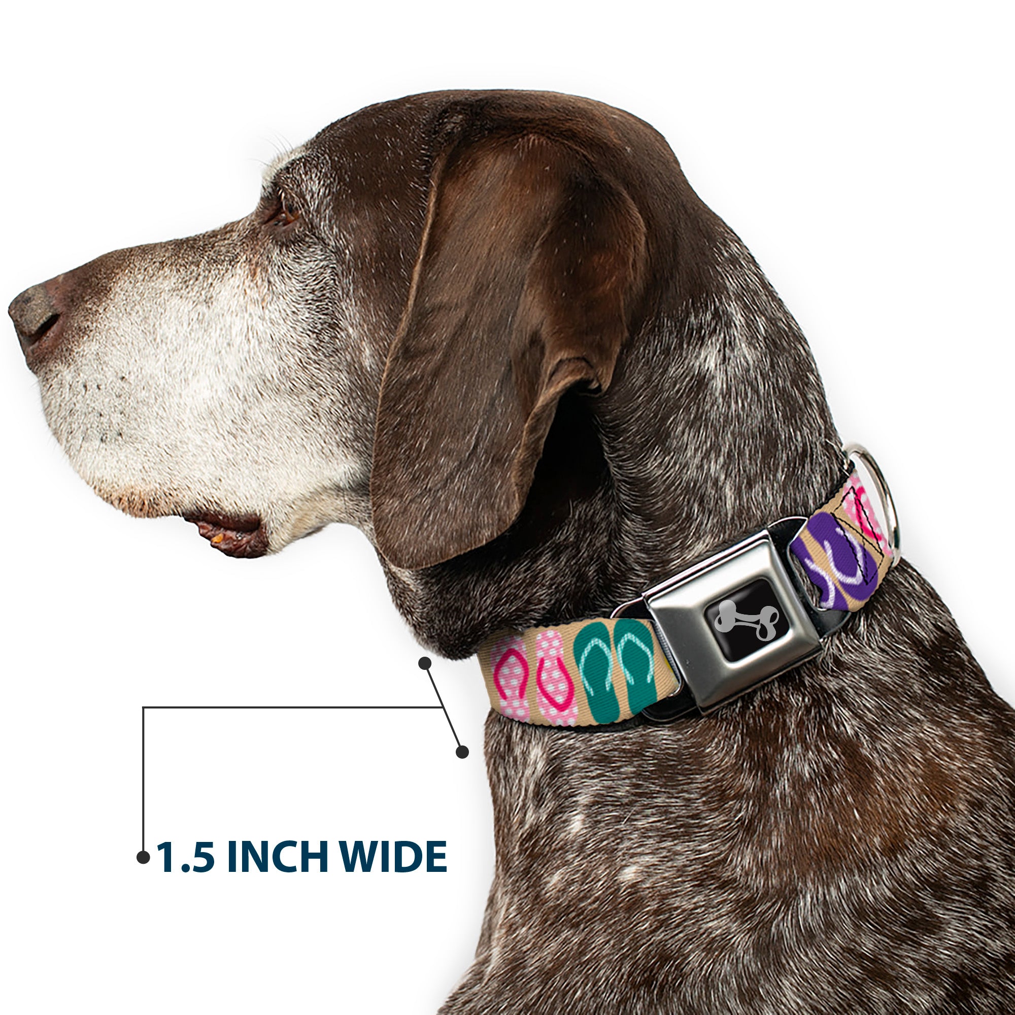 Dog Bone Seatbelt Buckle Collar - Flip Flops5 CLOSE-UP Sand/Multi Color Seatbelt Buckle Collars Buckle-Down