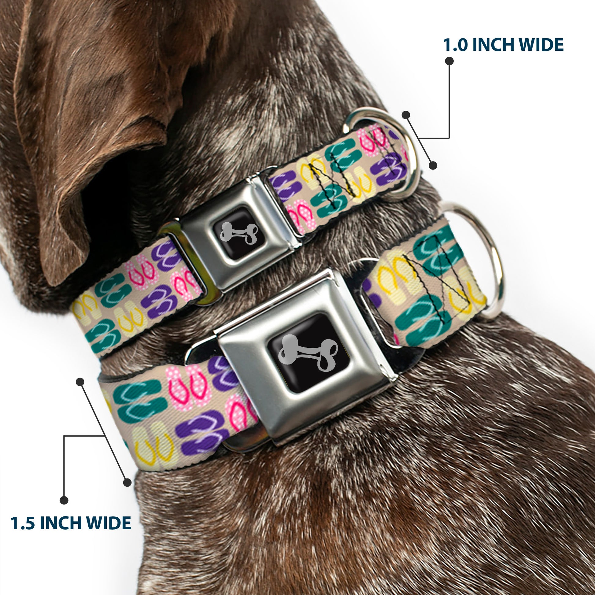 Dog Bone Seatbelt Buckle Collar - Flip Flops6 Sand/Multi Color Seatbelt Buckle Collars Buckle-Down