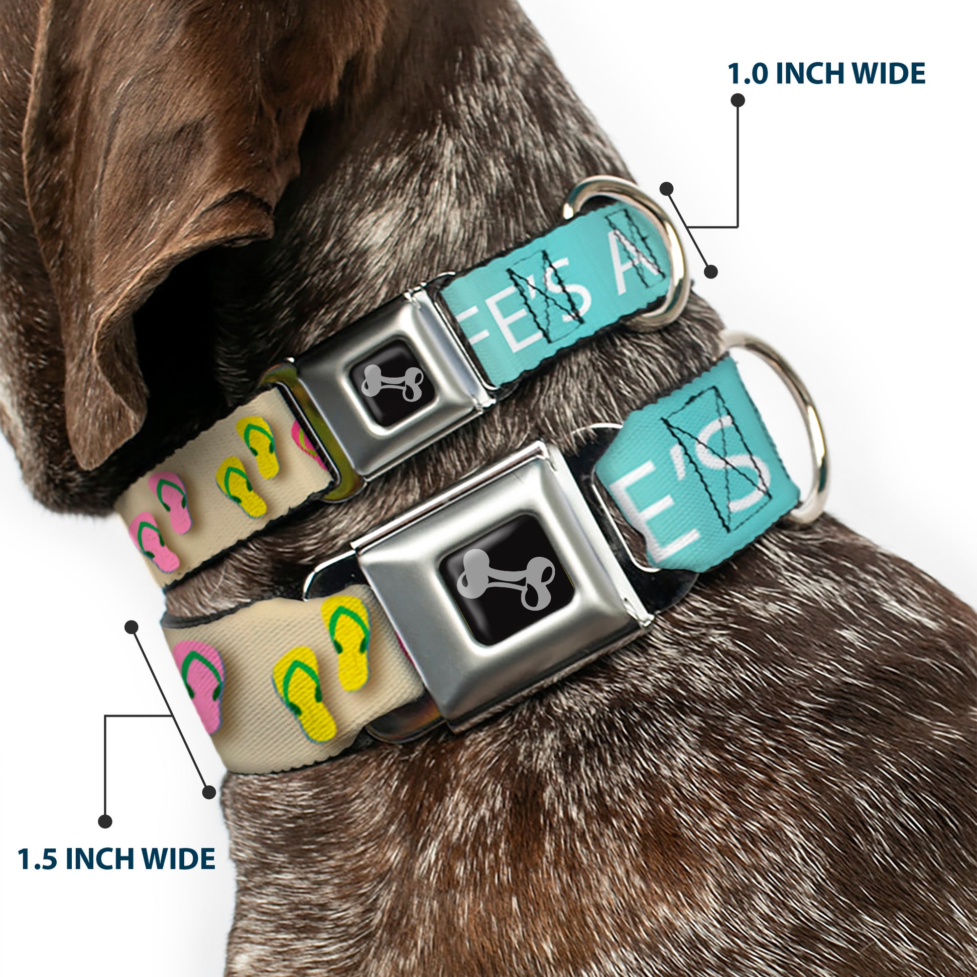 Dog Bone Seatbelt Buckle Collar - Flip Flops7 LIFE'S A BEACH Tan/Aqua/White Seatbelt Buckle Collars Buckle-Down