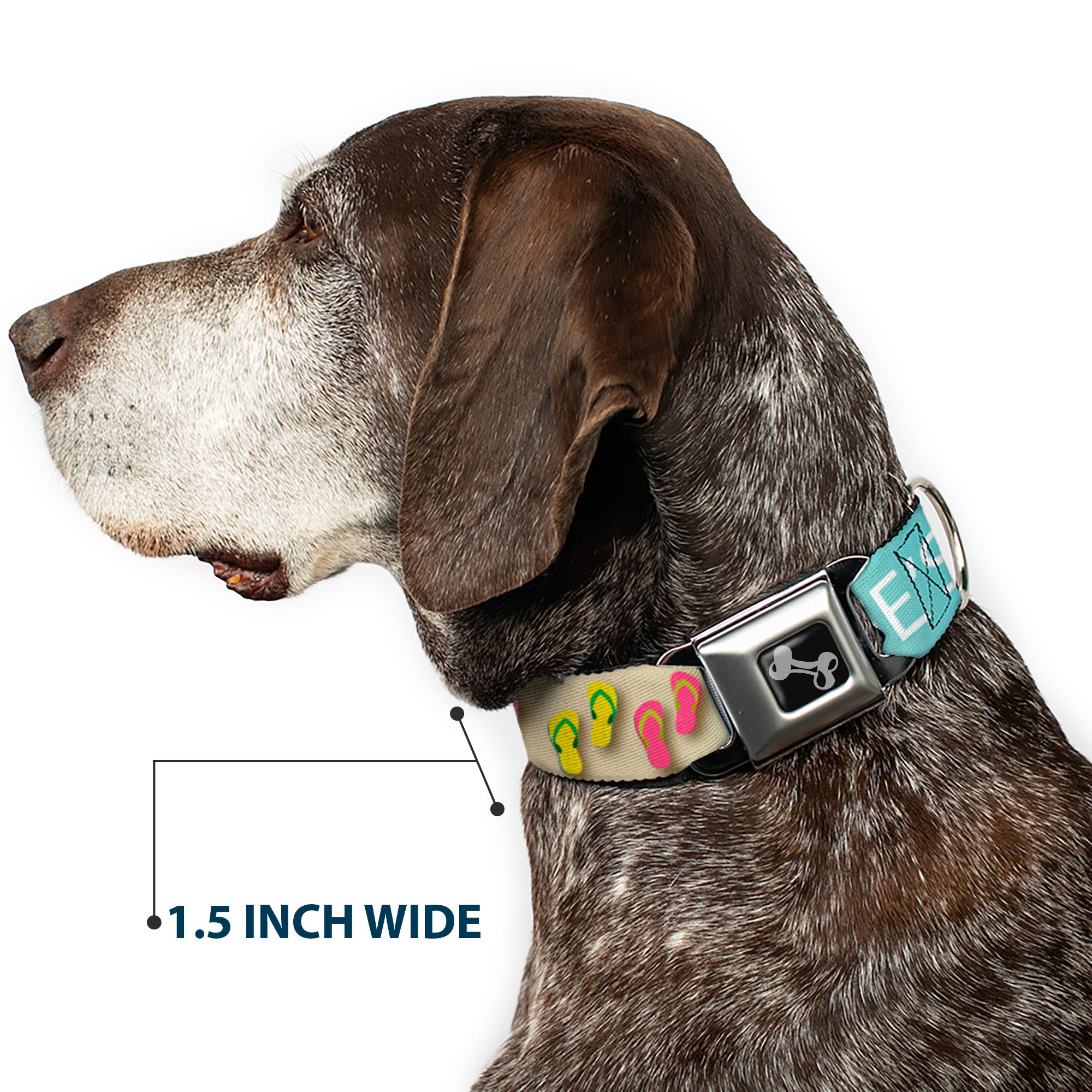 Dog Bone Seatbelt Buckle Collar - Flip Flops7 LIFE'S A BEACH Tan/Aqua/White Seatbelt Buckle Collars Buckle-Down