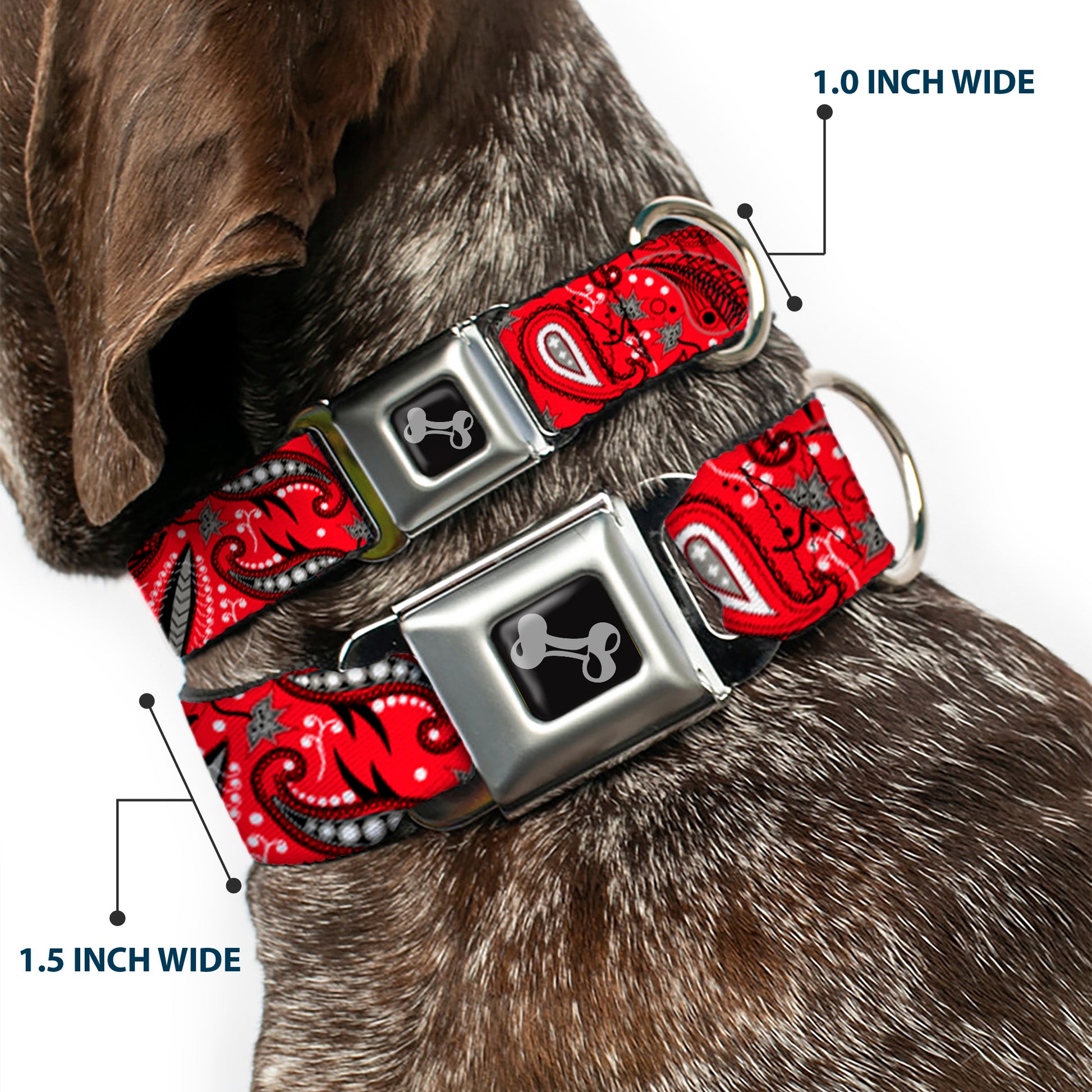 Dog Bone Seatbelt Buckle Collar - Floral Paisley3 Red/Black/Gray/White Seatbelt Buckle Collars Buckle-Down