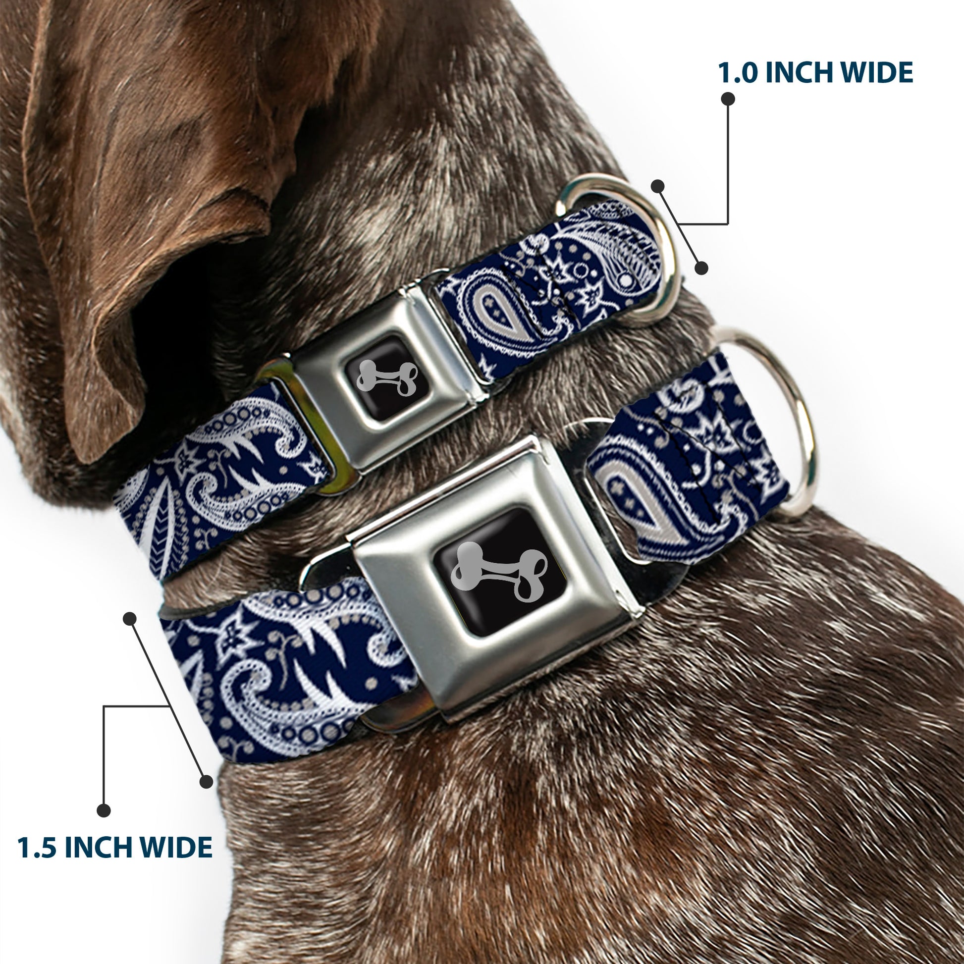 Dog Bone Seatbelt Buckle Collar - Floral Paisley3 Blue/White/Gray Seatbelt Buckle Collars Buckle-Down