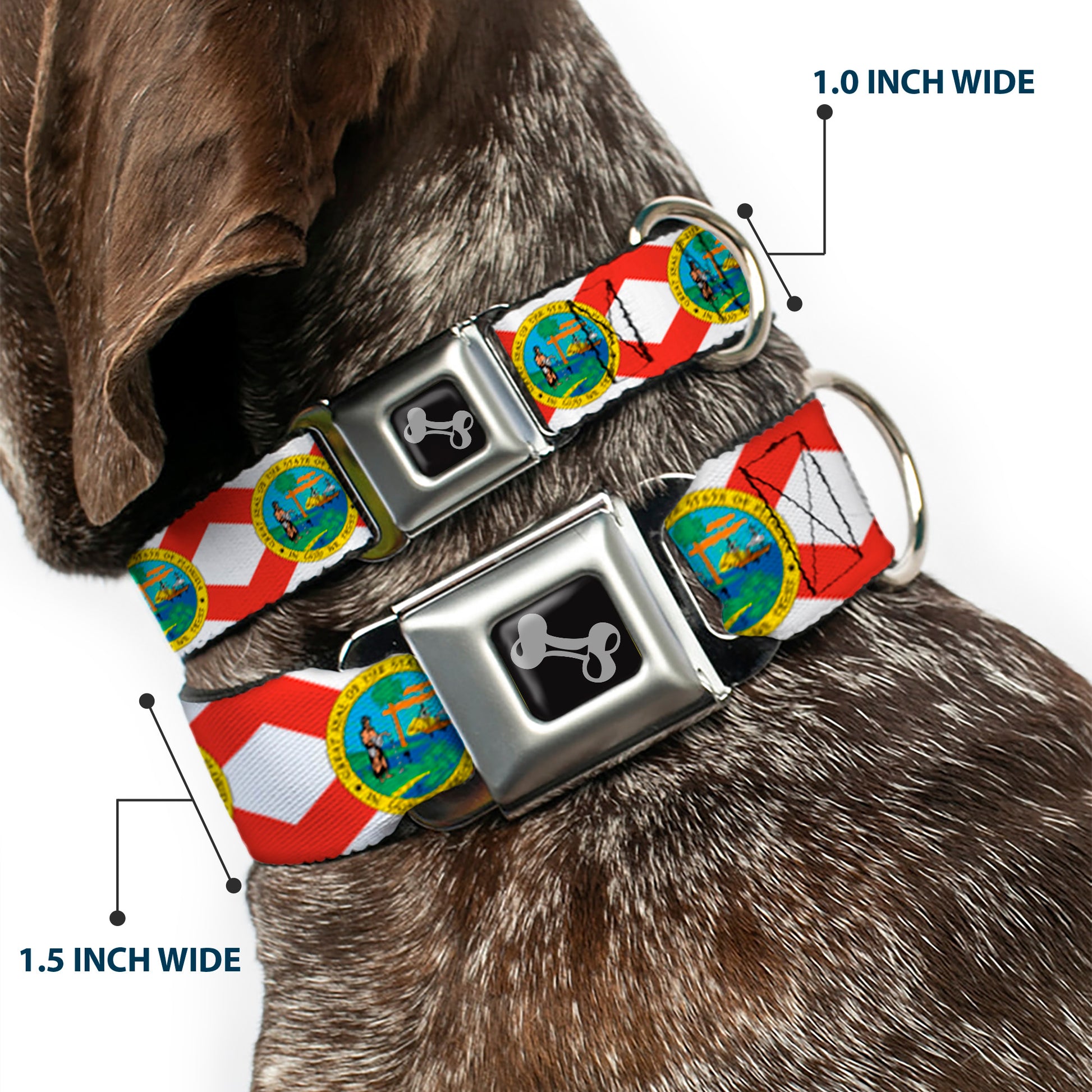 Dog Bone Black/Silver Seatbelt Buckle Collar - Florida Flag Continuous Seatbelt Buckle Collars Buckle-Down