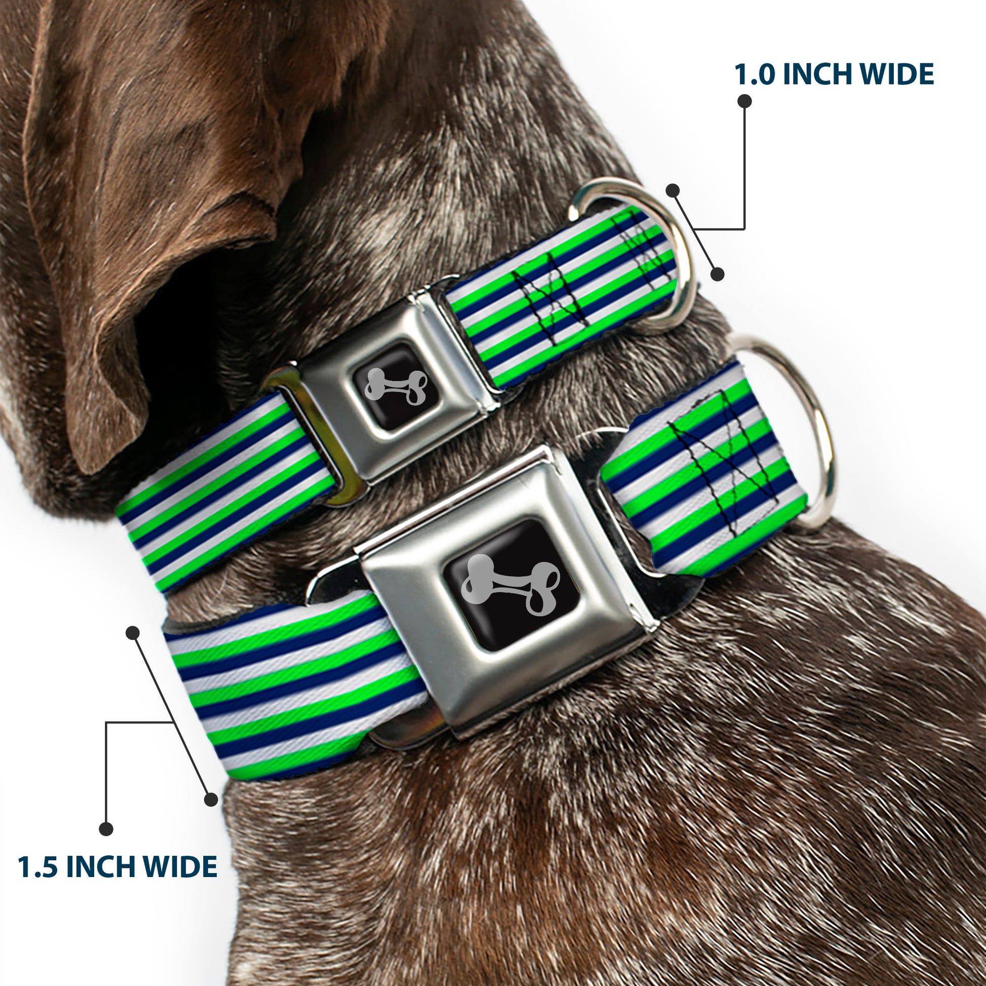 Dog Bone Black/Silver Seatbelt Buckle Collar - Fine Stripes White/Neon Green/Navy Seatbelt Buckle Collars Buckle-Down
