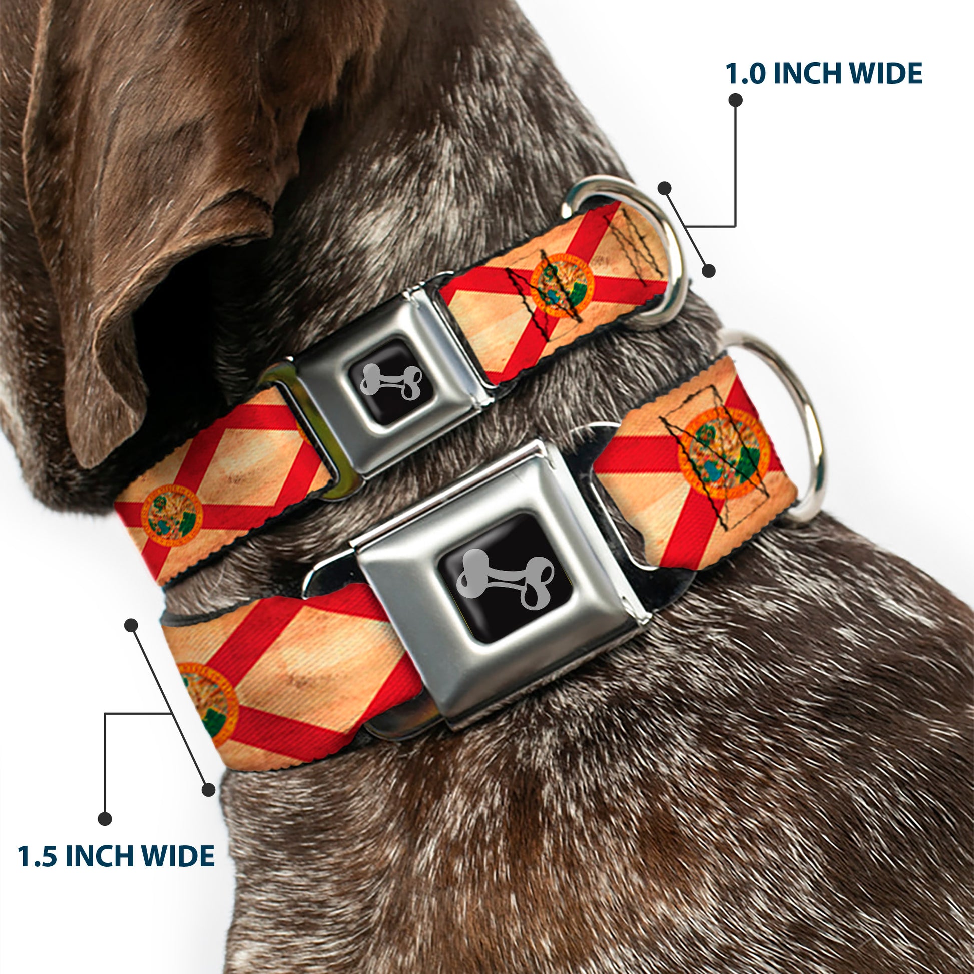Dog Bone Black/Silver Seatbelt Buckle Collar - Florida Flag Continuous Vintage Seatbelt Buckle Collars Buckle-Down