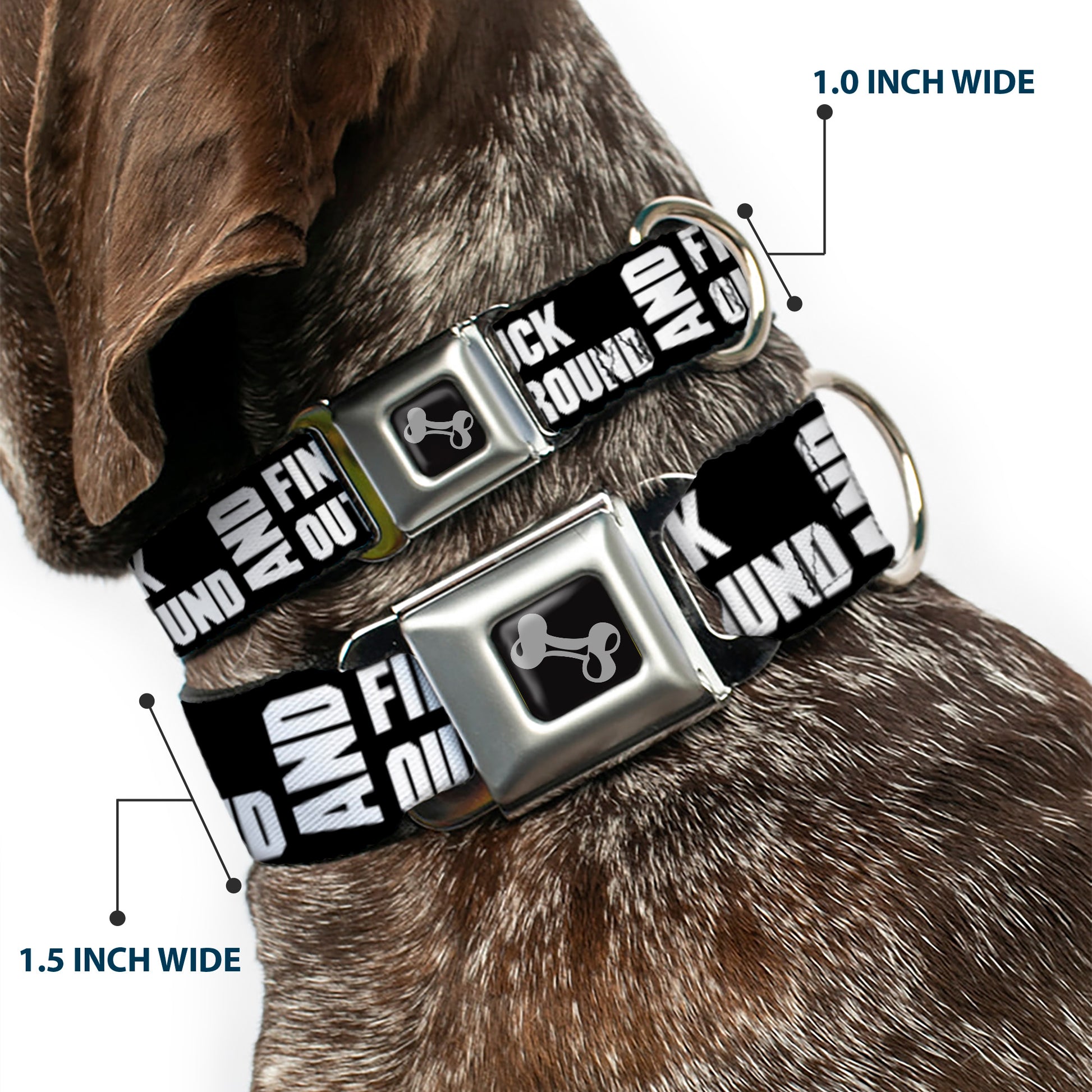 Dog Bone Black/Silver Seatbelt Buckle Collar - FAFO FUCK AROUND AND FIND OUT Bold Black/White Seatbelt Buckle Collars Buckle-Down