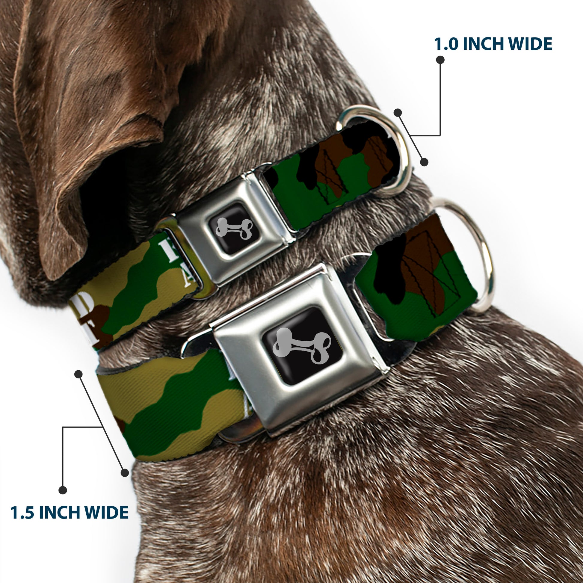 Dog Bone Black/Silver Seatbelt Buckle Collar - FAFO FUCK AROUND & FIND OUT Stencil Camo/White Seatbelt Buckle Collars Buckle-Down
