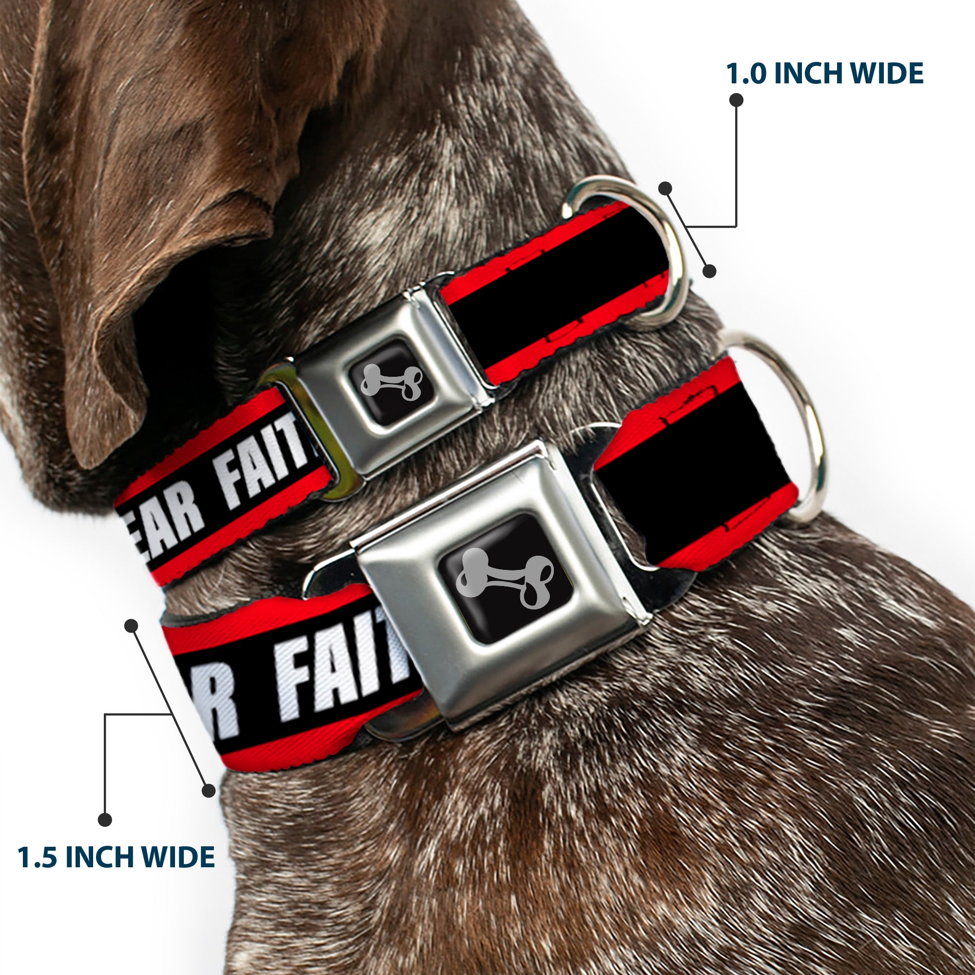 Dog Bone Black/Silver Seatbelt Buckle Collar - FAITH Greater Than FEAR Stripe Red/Black/White Seatbelt Buckle Collars Buckle-Down