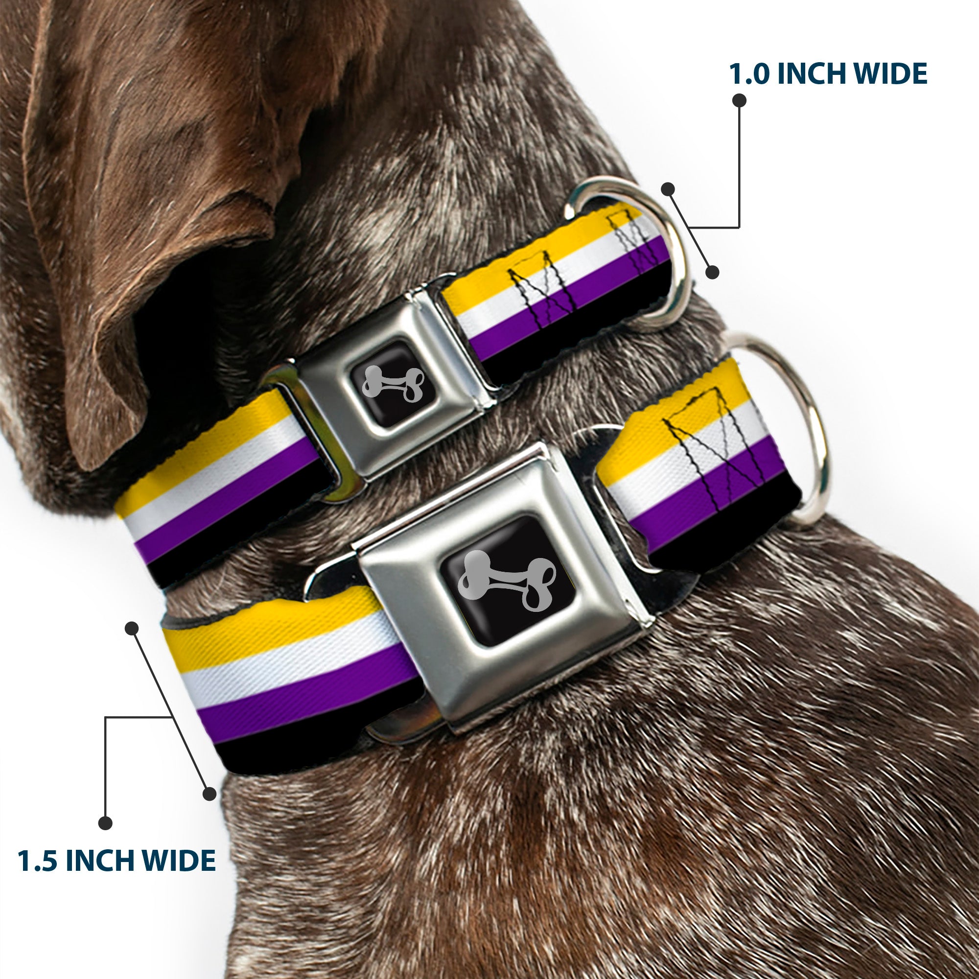 Dog Bone Black/Silver Seatbelt Buckle Collar - Flag Non-Binary Stripe Seatbelt Buckle Collars Buckle-Down