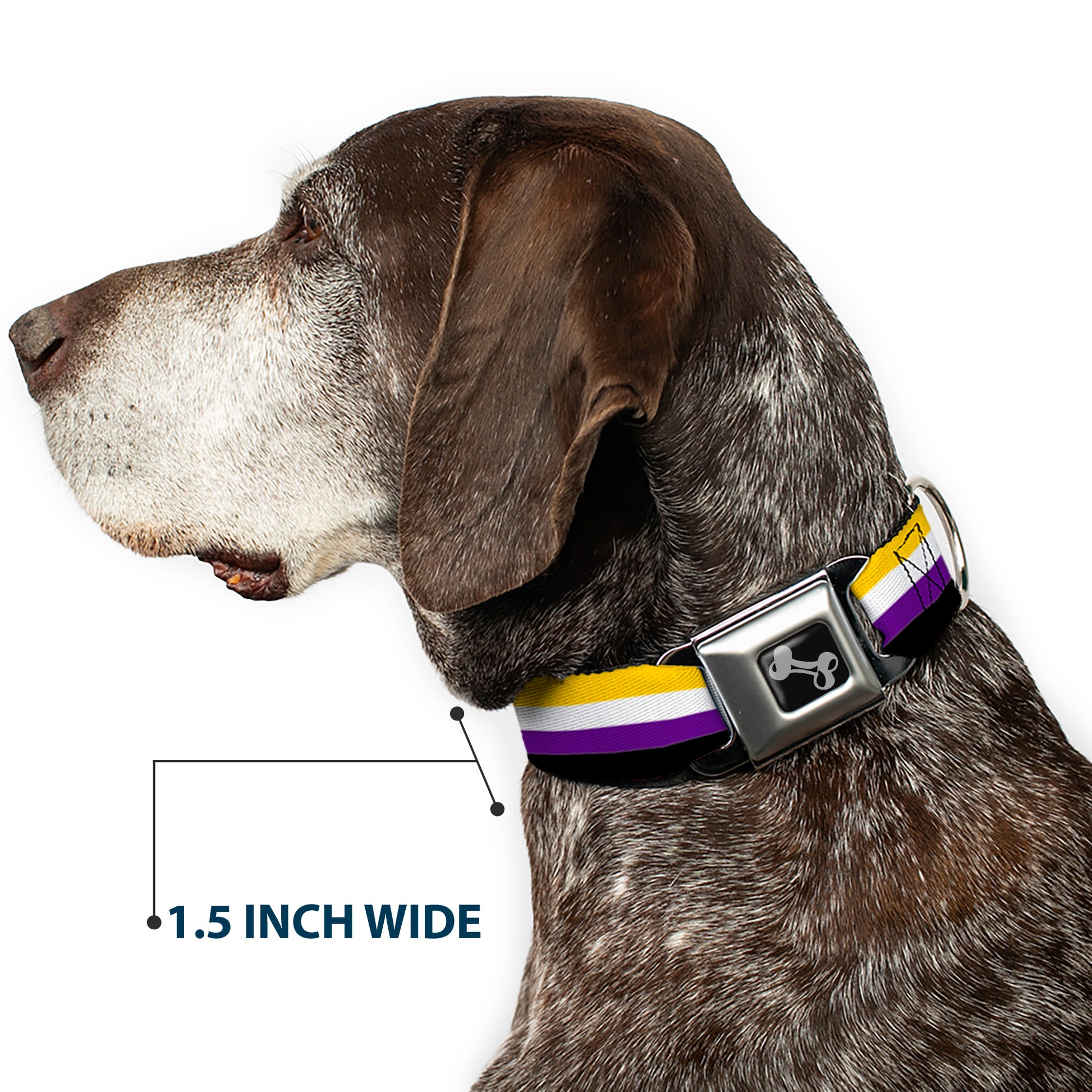 Dog Bone Black/Silver Seatbelt Buckle Collar - Flag Non-Binary Stripe Seatbelt Buckle Collars Buckle-Down