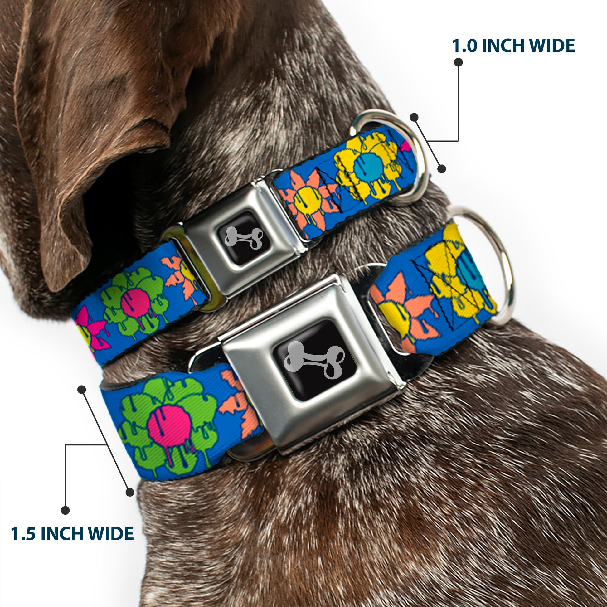 Dog Bone Black/Silver Seatbelt Buckle Collar - Funky Flower Drip Blue/Multi Color Seatbelt Buckle Collars Buckle-Down