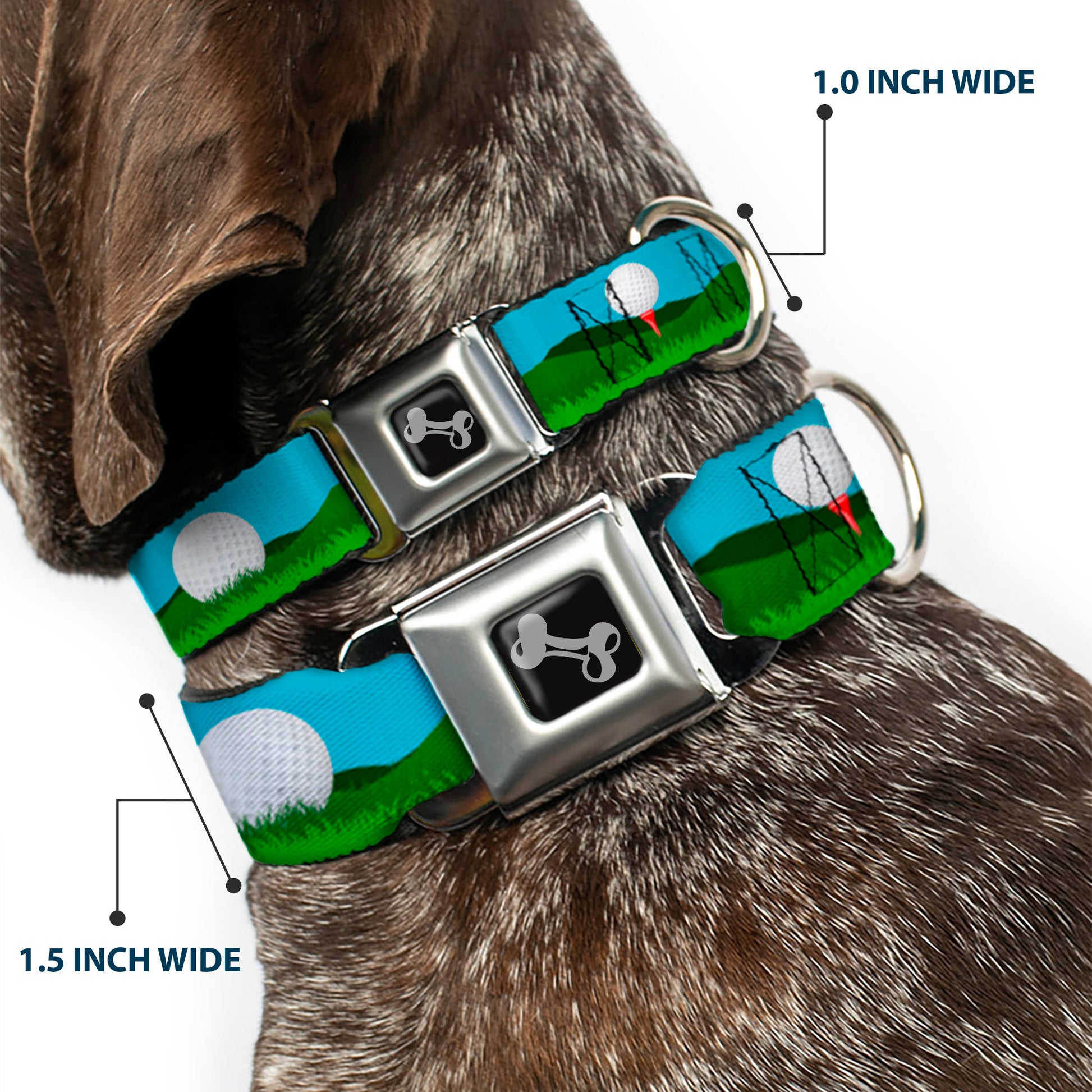 Dog Bone Black/Silver Seatbelt Buckle Collar - Golf Course/Balls/Holes Blues/Greens Seatbelt Buckle Collars Buckle-Down