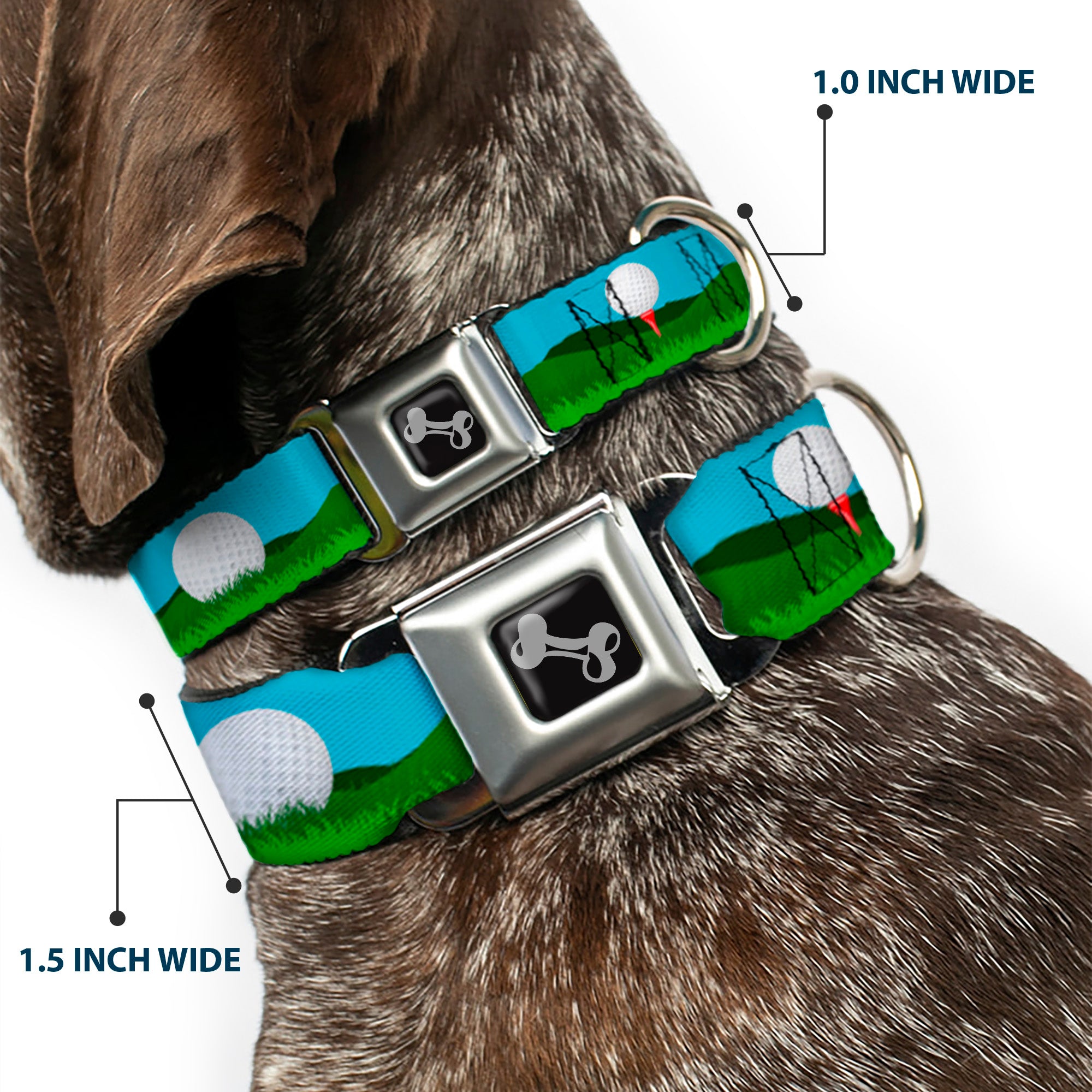 Dog Bone Black/Silver Seatbelt Buckle Collar - Golf Course/Balls/Holes Blues/Greens Seatbelt Buckle Collars Buckle-Down