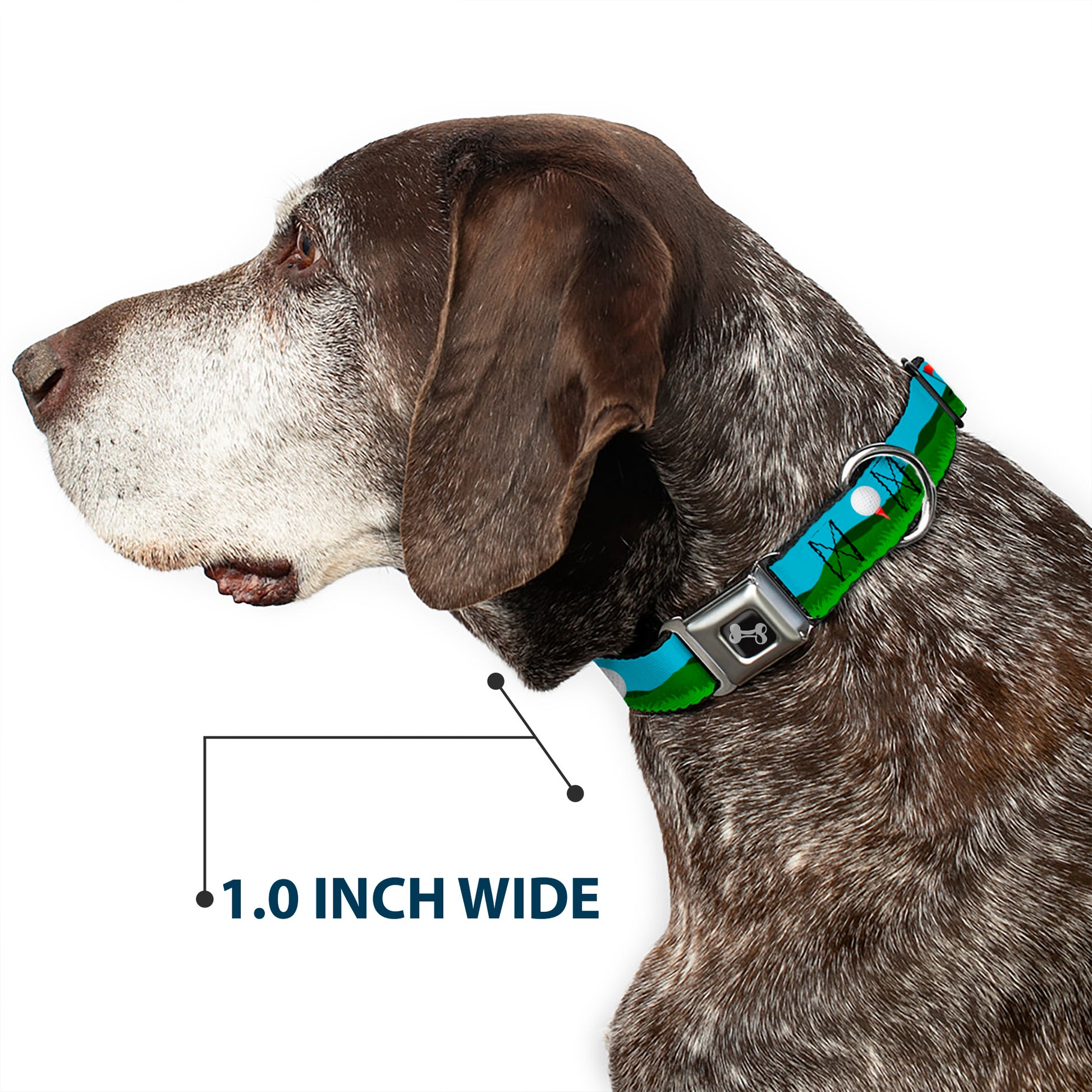 Dog Bone Black/Silver Seatbelt Buckle Collar - Golf Course/Balls/Holes Blues/Greens Seatbelt Buckle Collars Buckle-Down