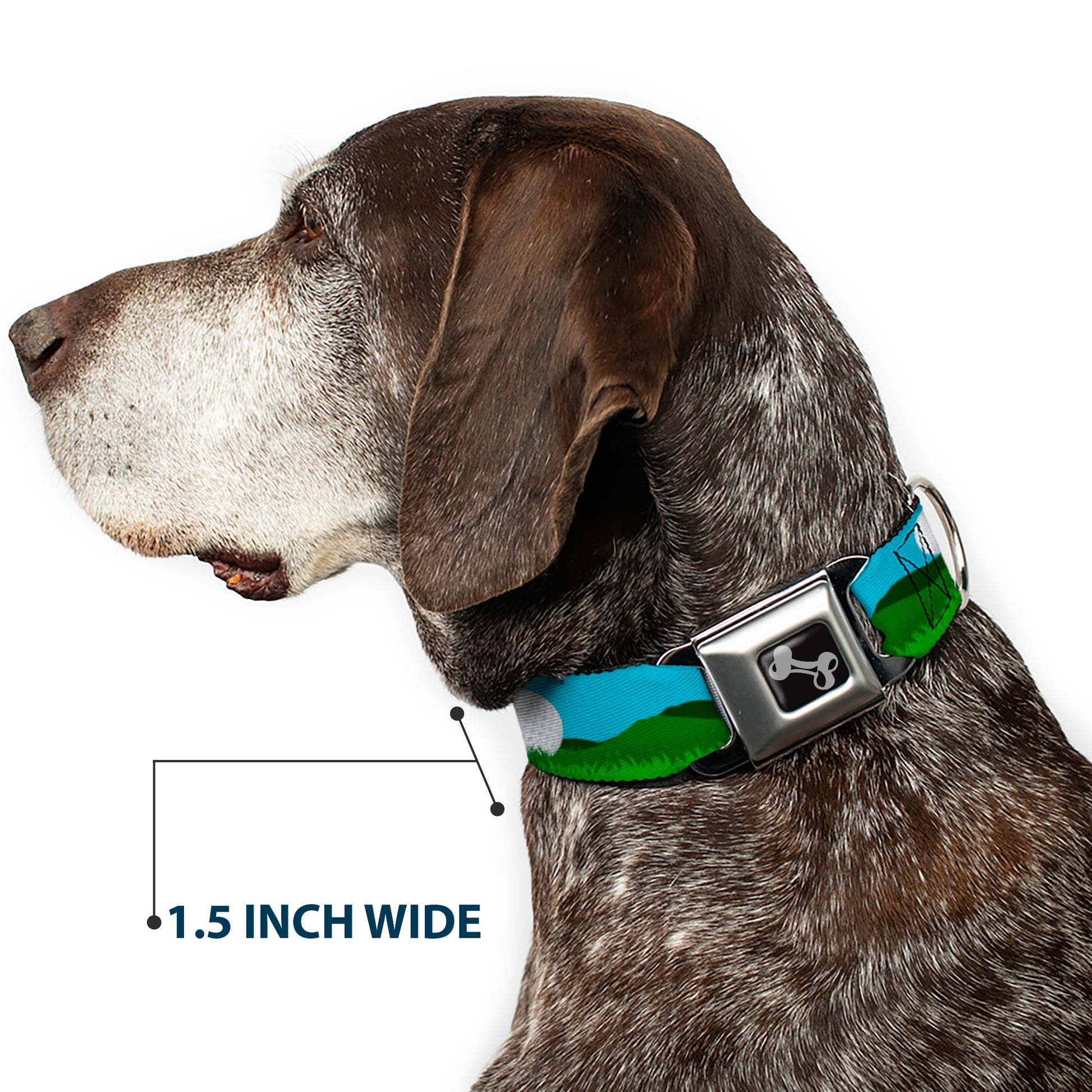 Dog Bone Black/Silver Seatbelt Buckle Collar - Golf Course/Balls/Holes Blues/Greens Seatbelt Buckle Collars Buckle-Down