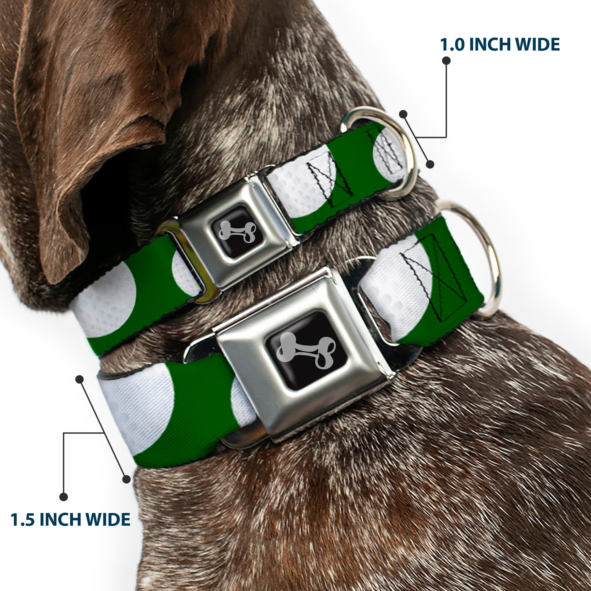 Dog Bone Black/Silver Seatbelt Buckle Collar - Golf Balls Scattered Green/White Seatbelt Buckle Collars Buckle-Down