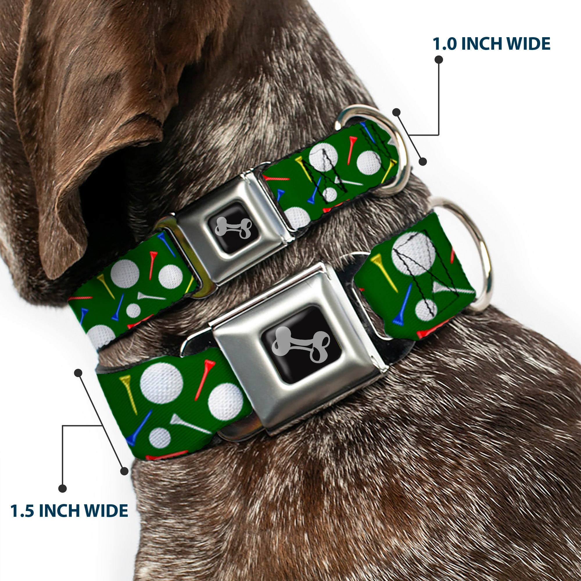 Dog Bone Black/Silver Seatbelt Buckle Collar - Golf Balls/Tees Scattered Green/Multi Color Seatbelt Buckle Collars Buckle-Down