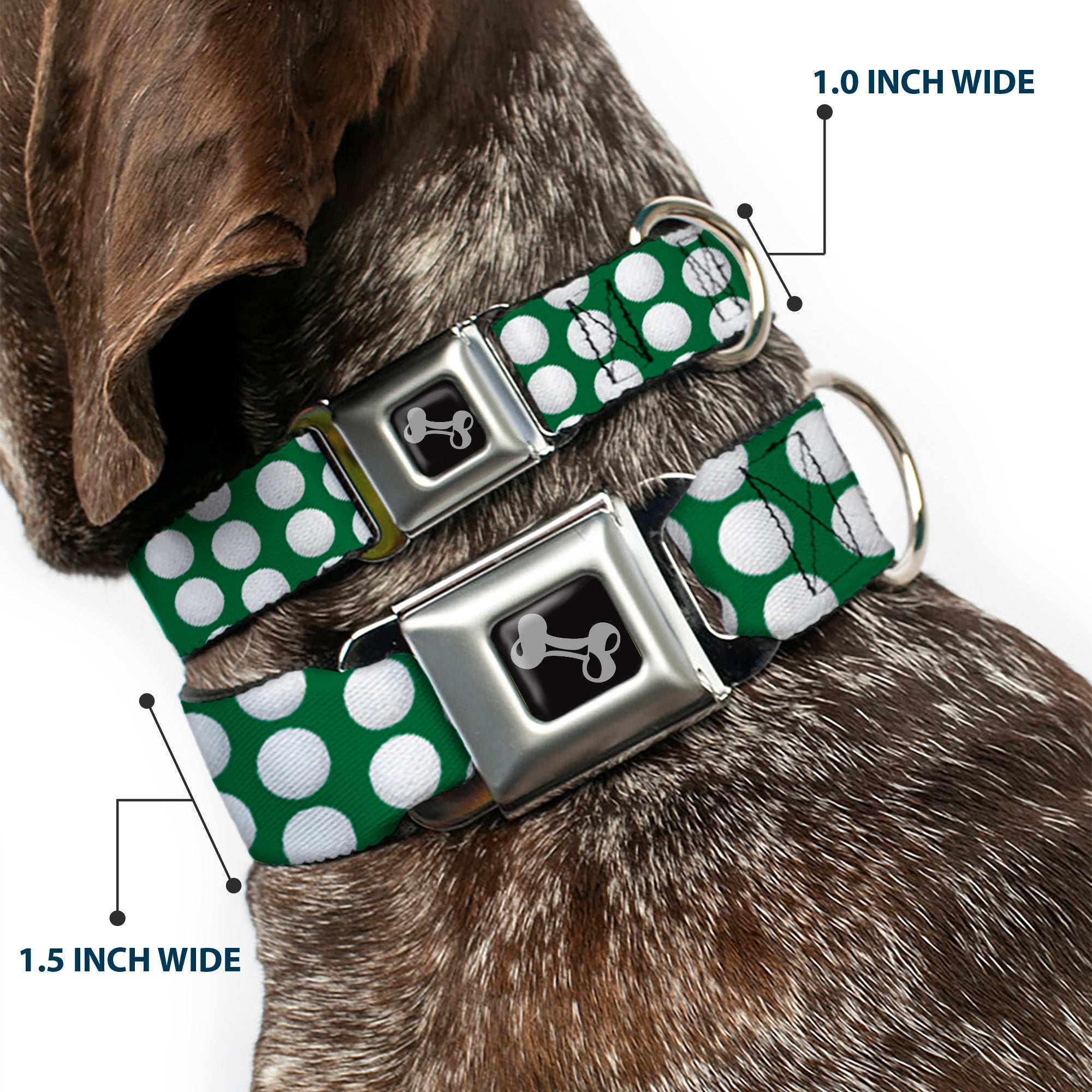 Dog Bone Black/Silver Seatbelt Buckle Collar - Golf Balls Green/White Seatbelt Buckle Collars Buckle-Down