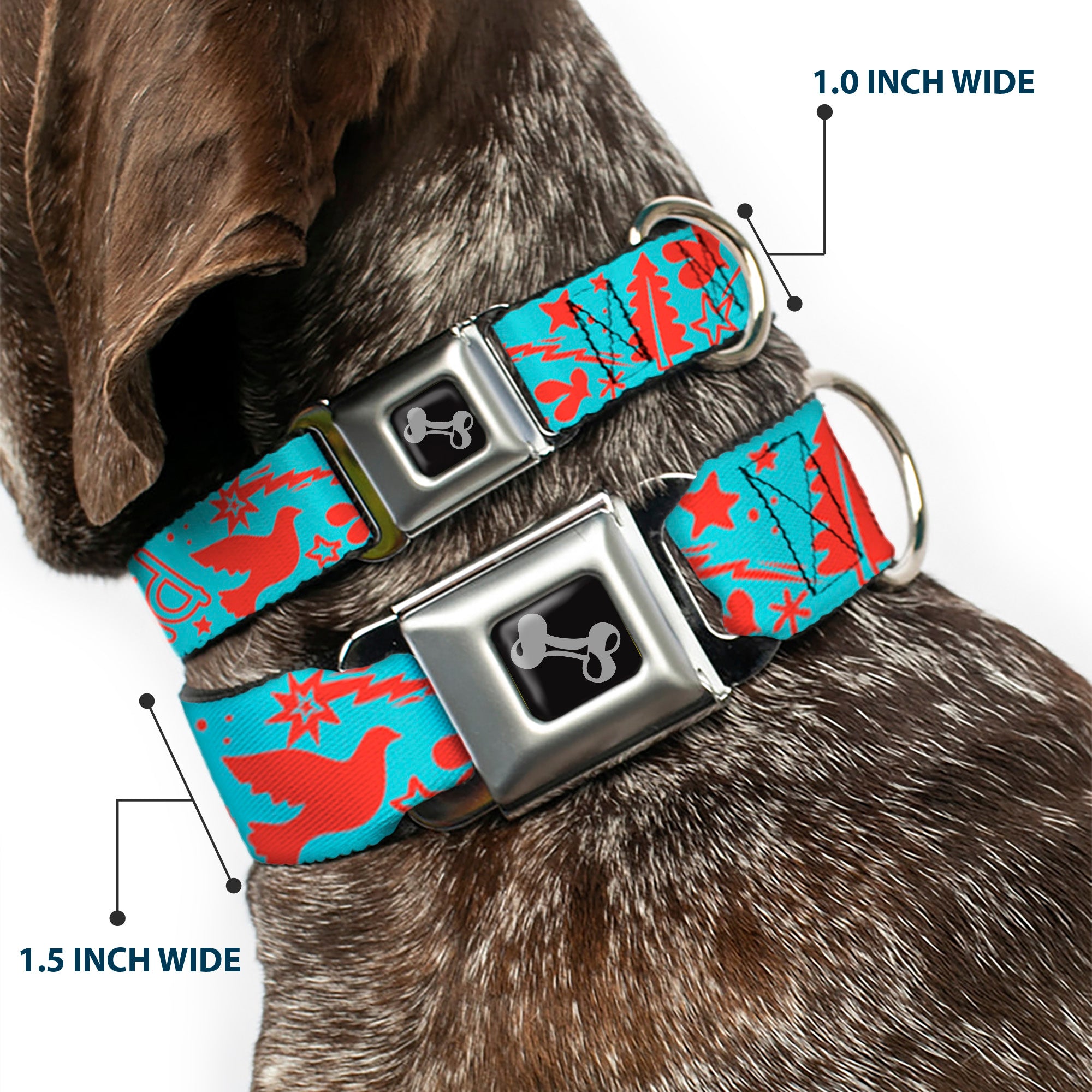 Dog Bone Black/Silver Seatbelt Buckle Collar - GRATEFUL OPTIMISM BE KIND Icons Collage Blue/Red Seatbelt Buckle Collars Buckle-Down