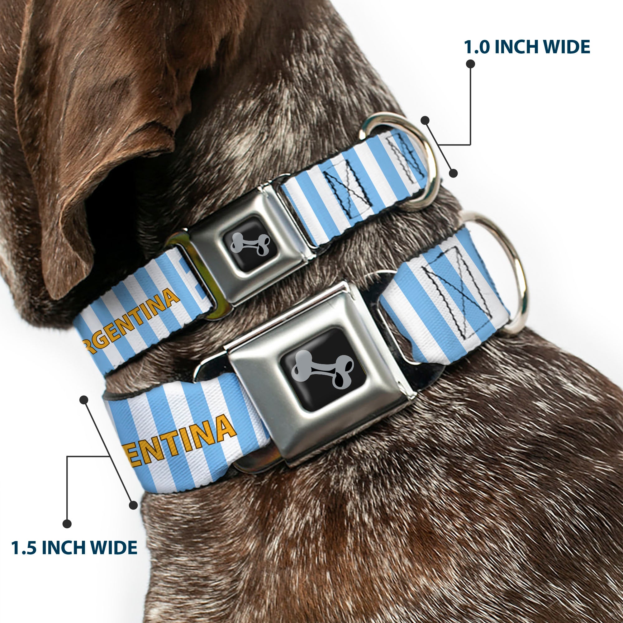 Dog Bone Black/Silver Seatbelt Buckle Collar - Global Soccer Cup Series Argentina Spirit Flag Seatbelt Buckle Collars Buckle-Down