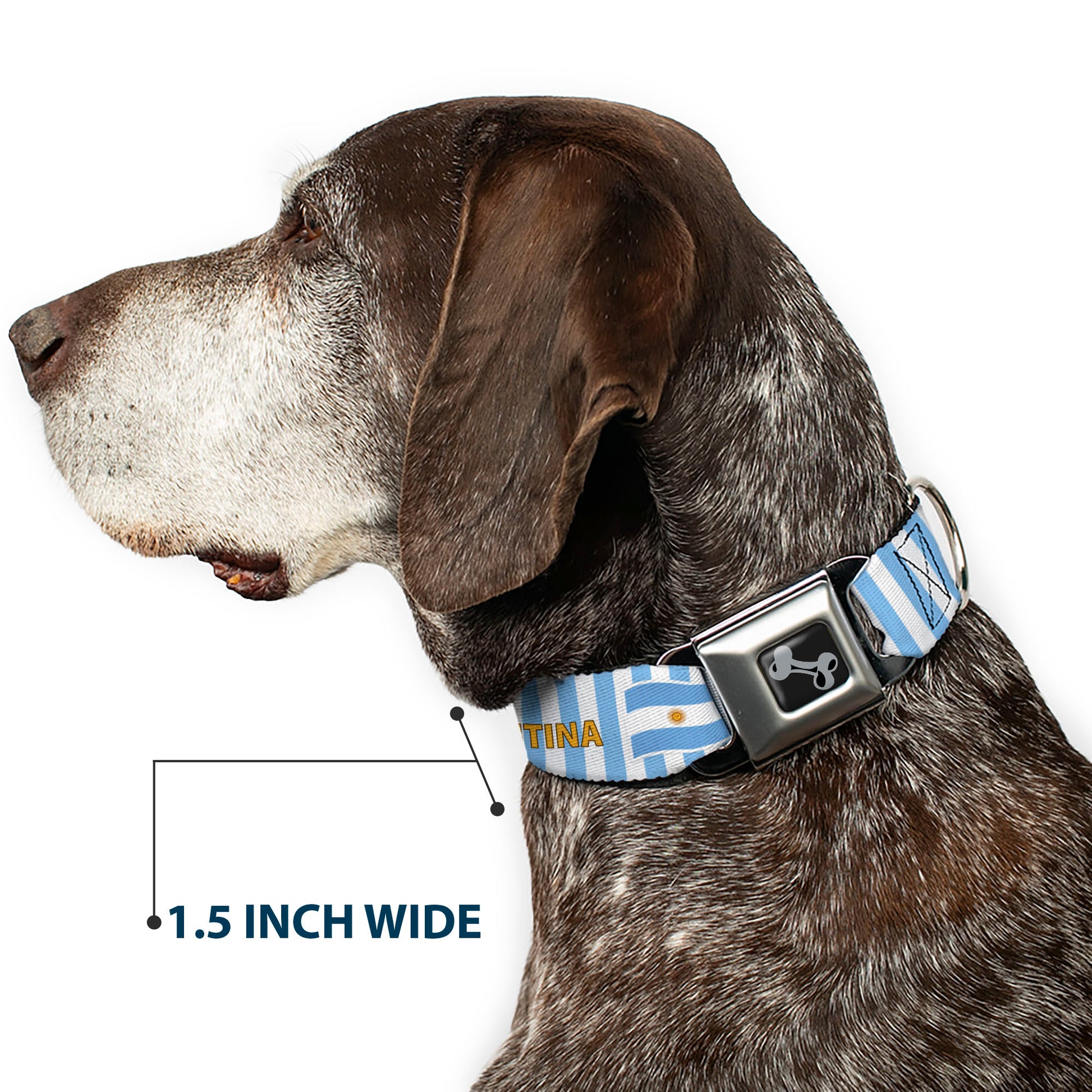 Dog Bone Black/Silver Seatbelt Buckle Collar - Global Soccer Cup Series Argentina Spirit Flag Seatbelt Buckle Collars Buckle-Down