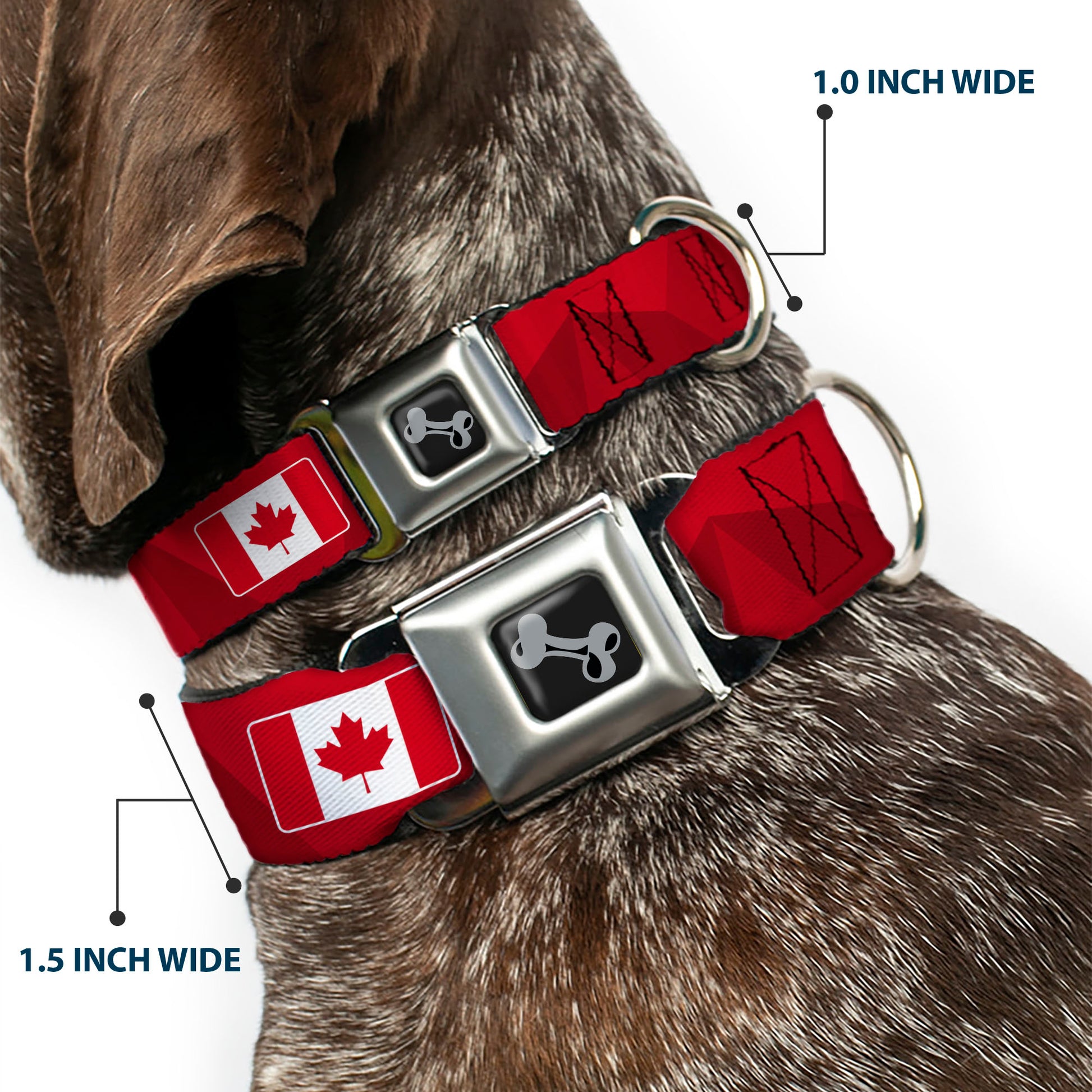 Dog Bone Black/Silver Seatbelt Buckle Collar - Global Soccer Cup Series Canada Spirit Flag Seatbelt Buckle Collars Buckle-Down
