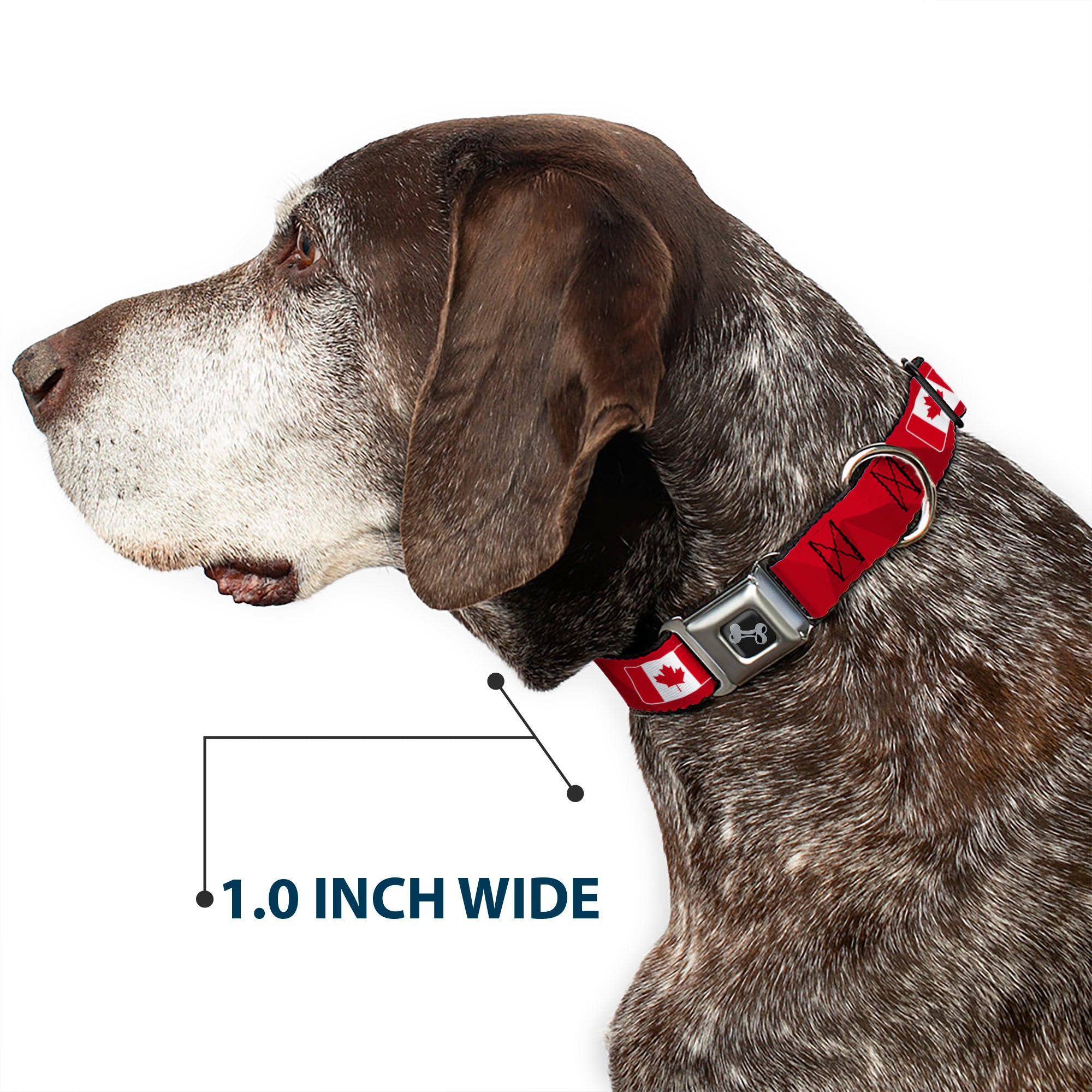 Dog Bone Black/Silver Seatbelt Buckle Collar - Global Soccer Cup Series Canada Spirit Flag Seatbelt Buckle Collars Buckle-Down