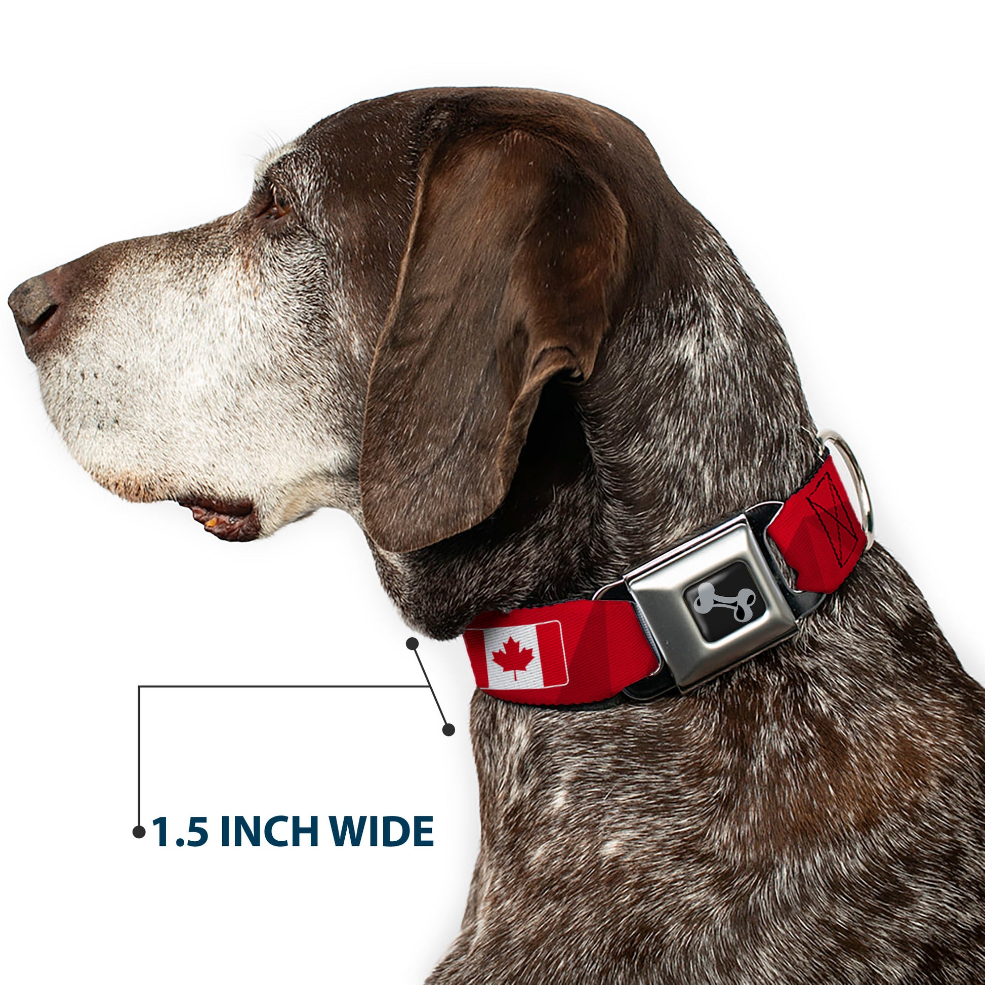 Dog Bone Black/Silver Seatbelt Buckle Collar - Global Soccer Cup Series Canada Spirit Flag Seatbelt Buckle Collars Buckle-Down