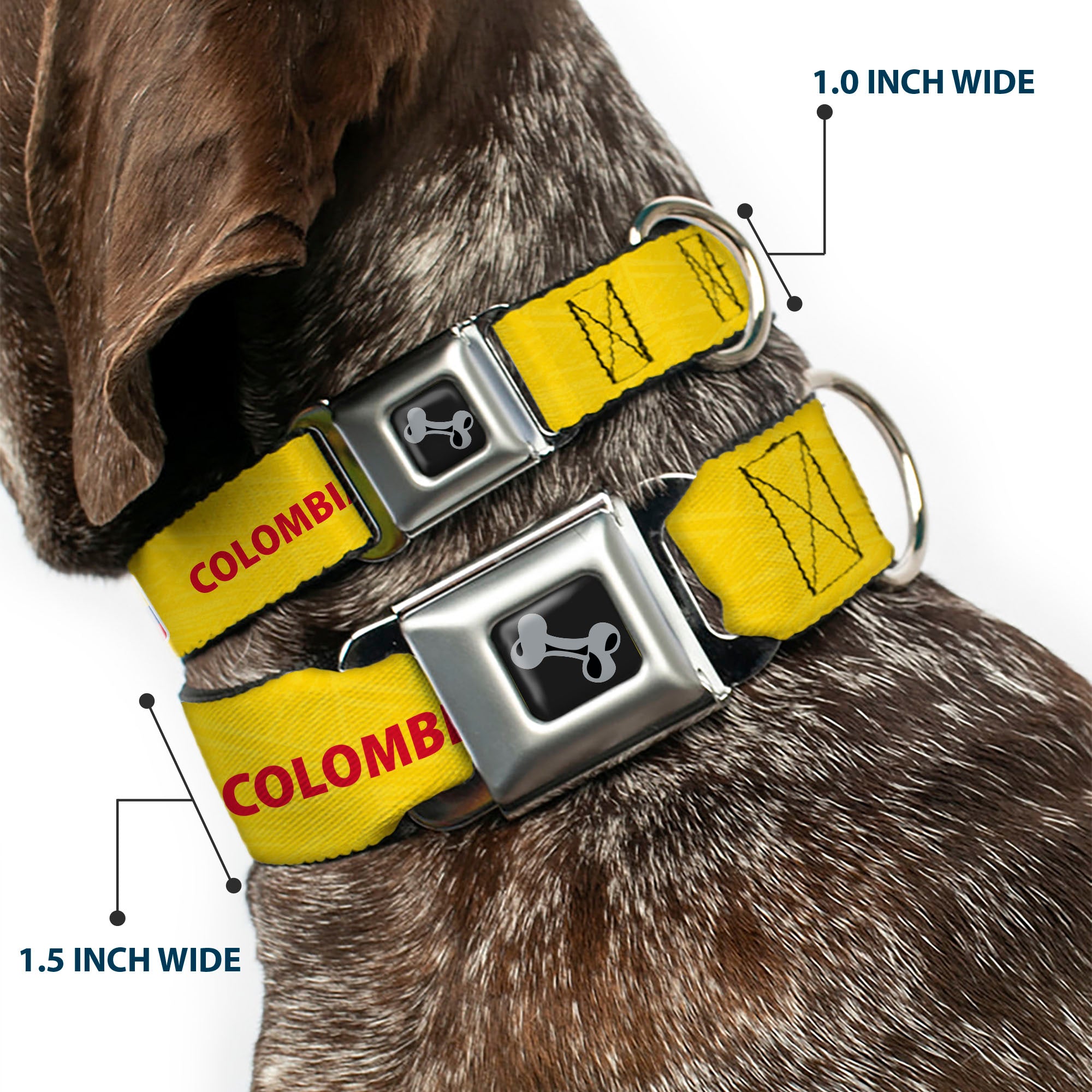 Dog Bone Black/Silver Seatbelt Buckle Collar - Global Soccer Cup Series Colombia Spirit Flag Seatbelt Buckle Collars Buckle-Down