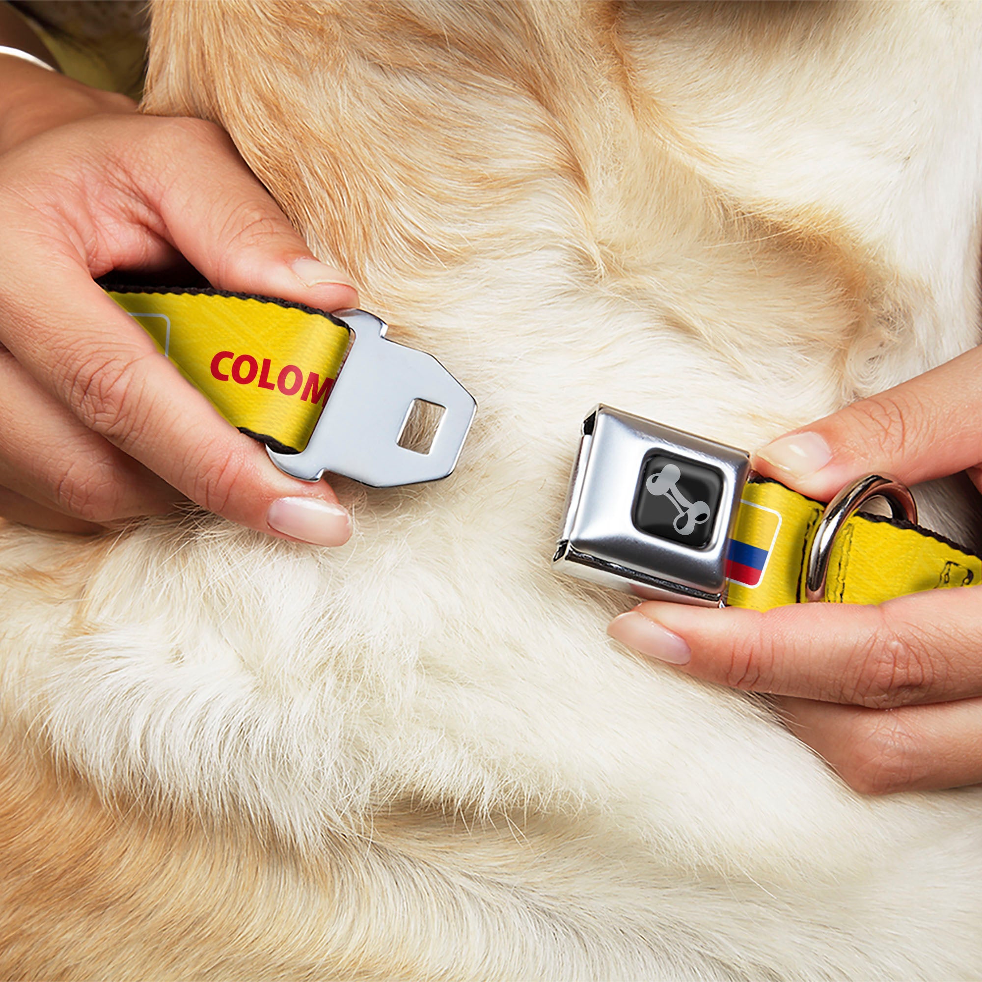 Dog Bone Black/Silver Seatbelt Buckle Collar - Global Soccer Cup Series Colombia Spirit Flag Seatbelt Buckle Collars Buckle-Down