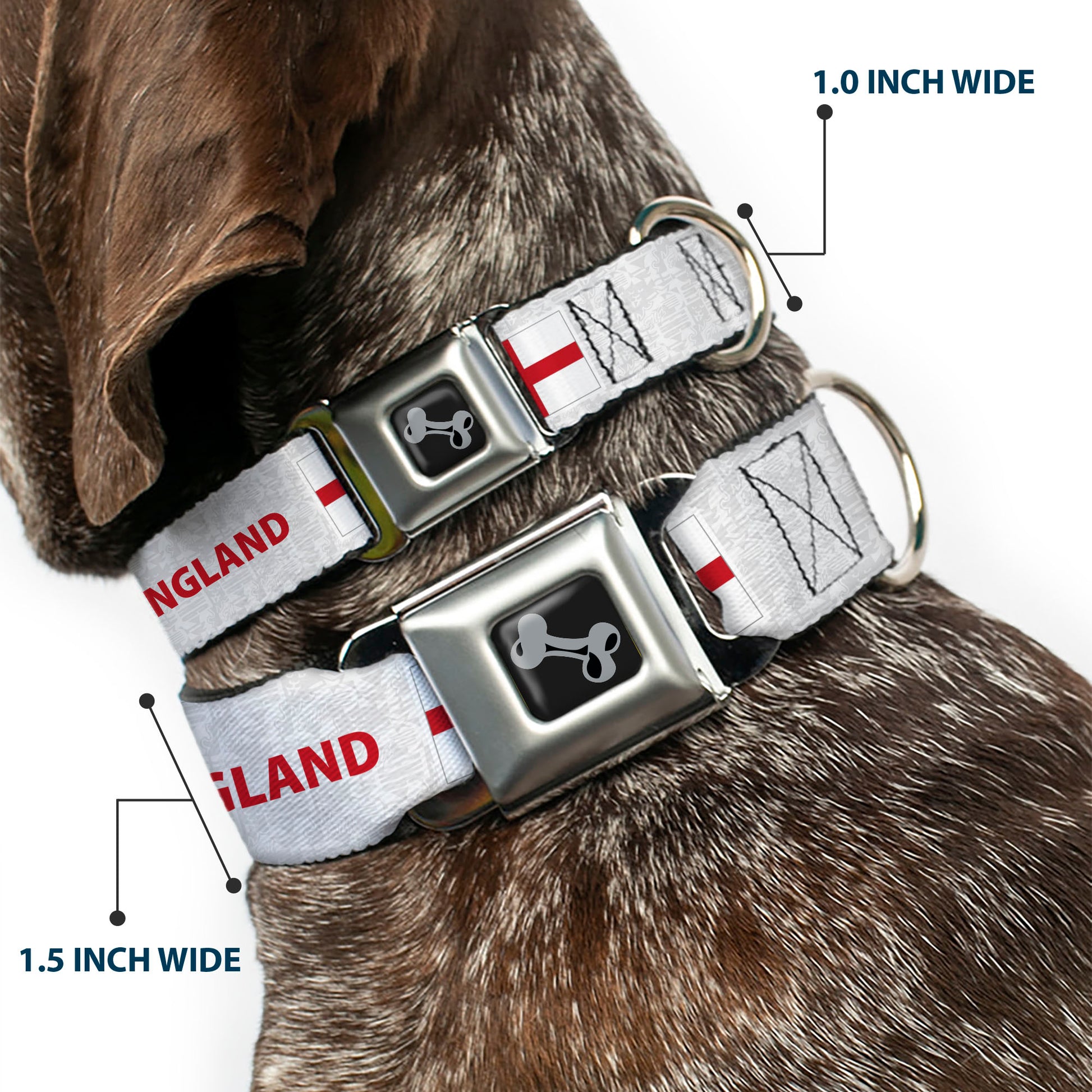 Dog Bone Black/Silver Seatbelt Buckle Collar - Global Soccer Cup Series England Spirit Flag Seatbelt Buckle Collars Buckle-Down