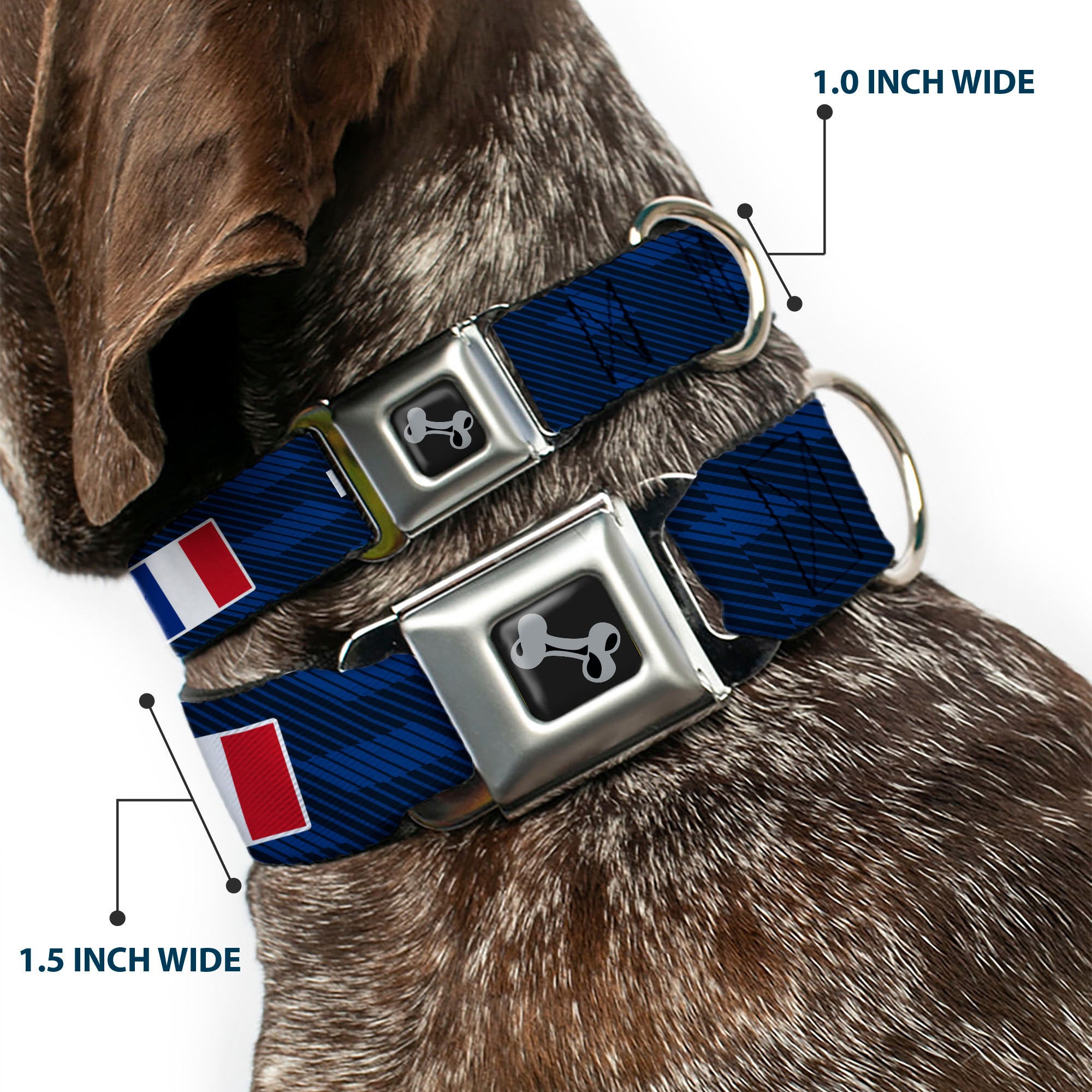 Dog Bone Black/Silver Seatbelt Buckle Collar - Global Soccer Cup Series France Spirit Flag Seatbelt Buckle Collars Buckle-Down