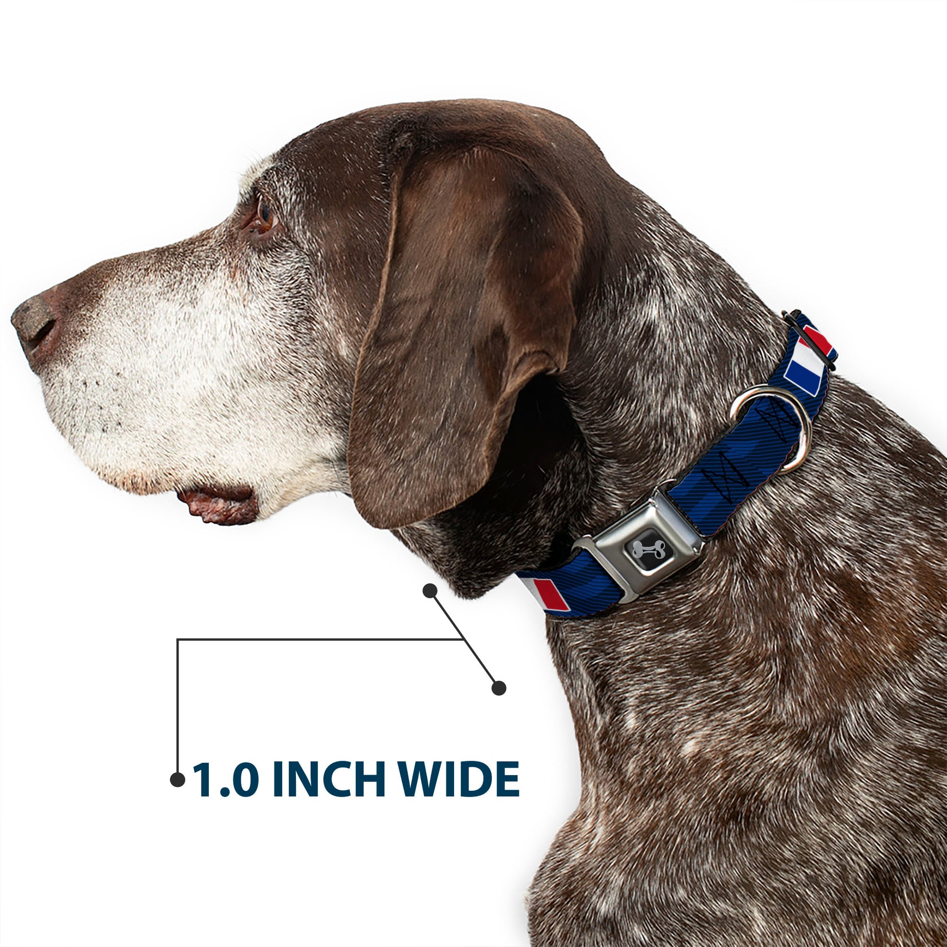 Dog Bone Black/Silver Seatbelt Buckle Collar - Global Soccer Cup Series France Spirit Flag Seatbelt Buckle Collars Buckle-Down