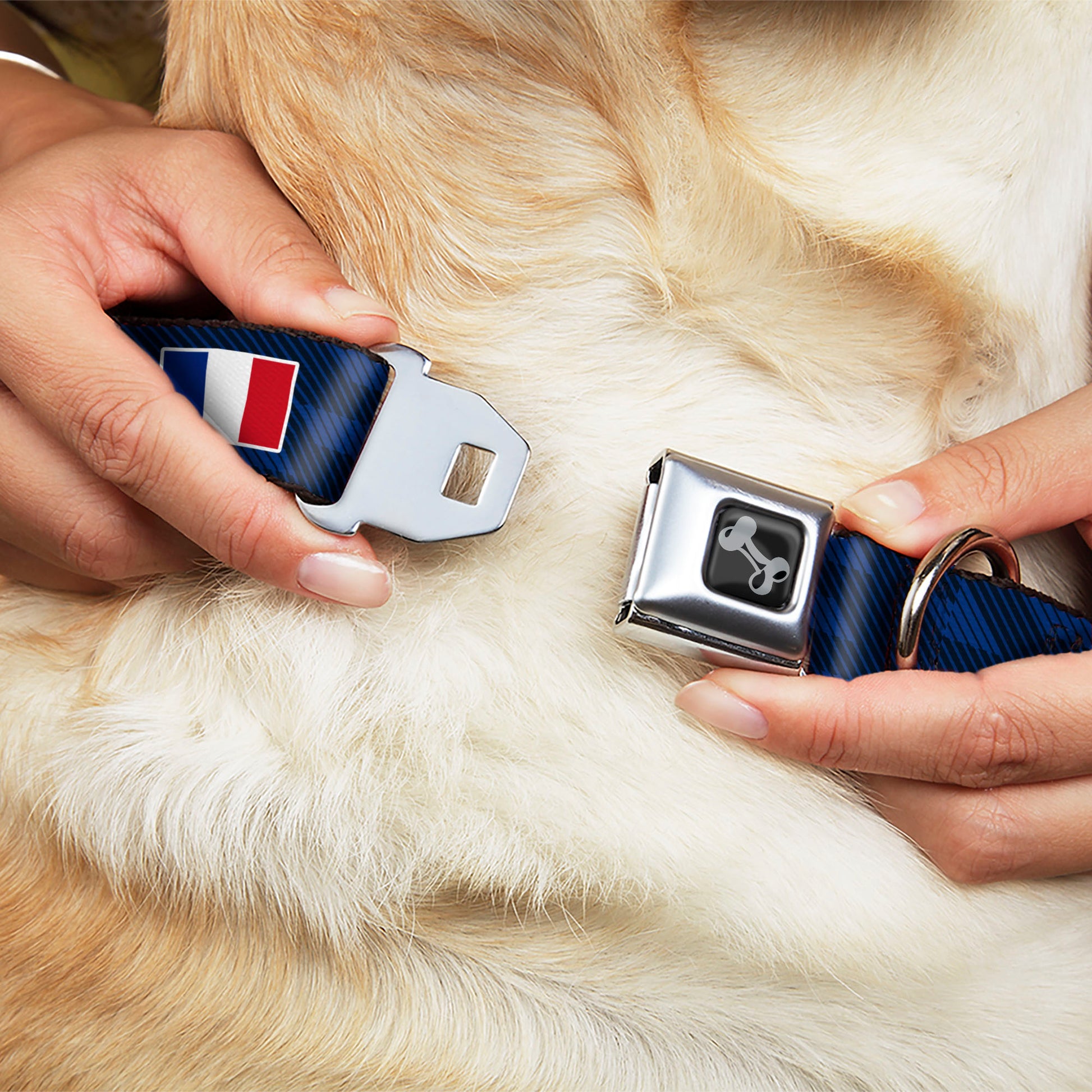 Dog Bone Black/Silver Seatbelt Buckle Collar - Global Soccer Cup Series France Spirit Flag Seatbelt Buckle Collars Buckle-Down