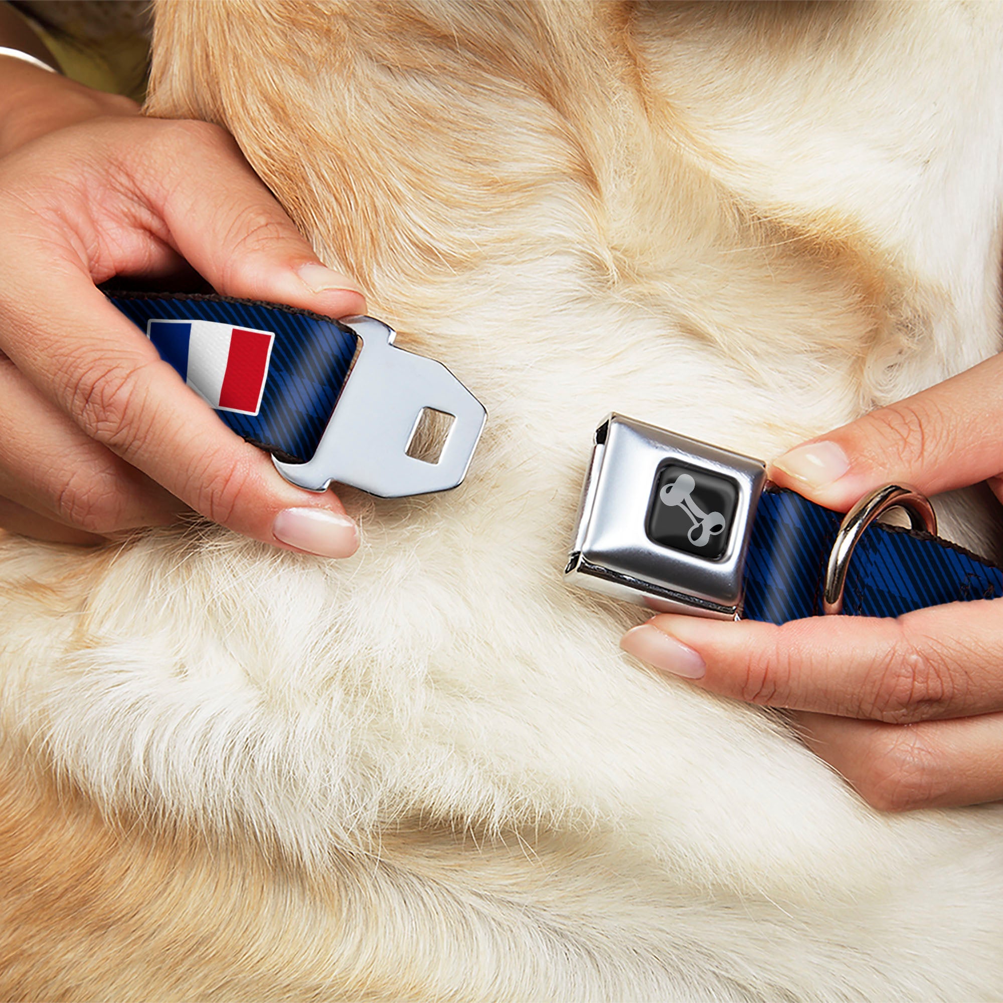 Dog Bone Black/Silver Seatbelt Buckle Collar - Global Soccer Cup Series France Spirit Flag Seatbelt Buckle Collars Buckle-Down