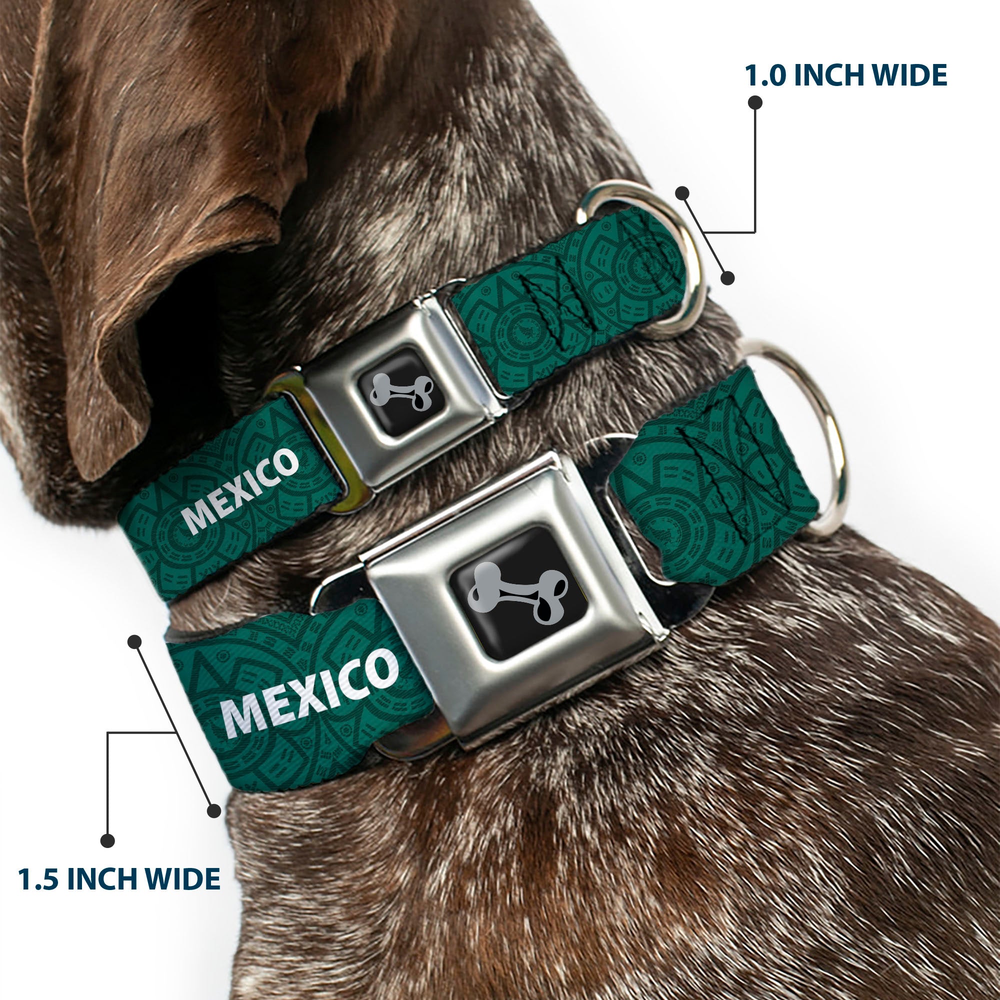 Dog Bone Black/Silver Seatbelt Buckle Collar - Global Soccer Cup Series Mexico Spirit Flag Seatbelt Buckle Collars Buckle-Down