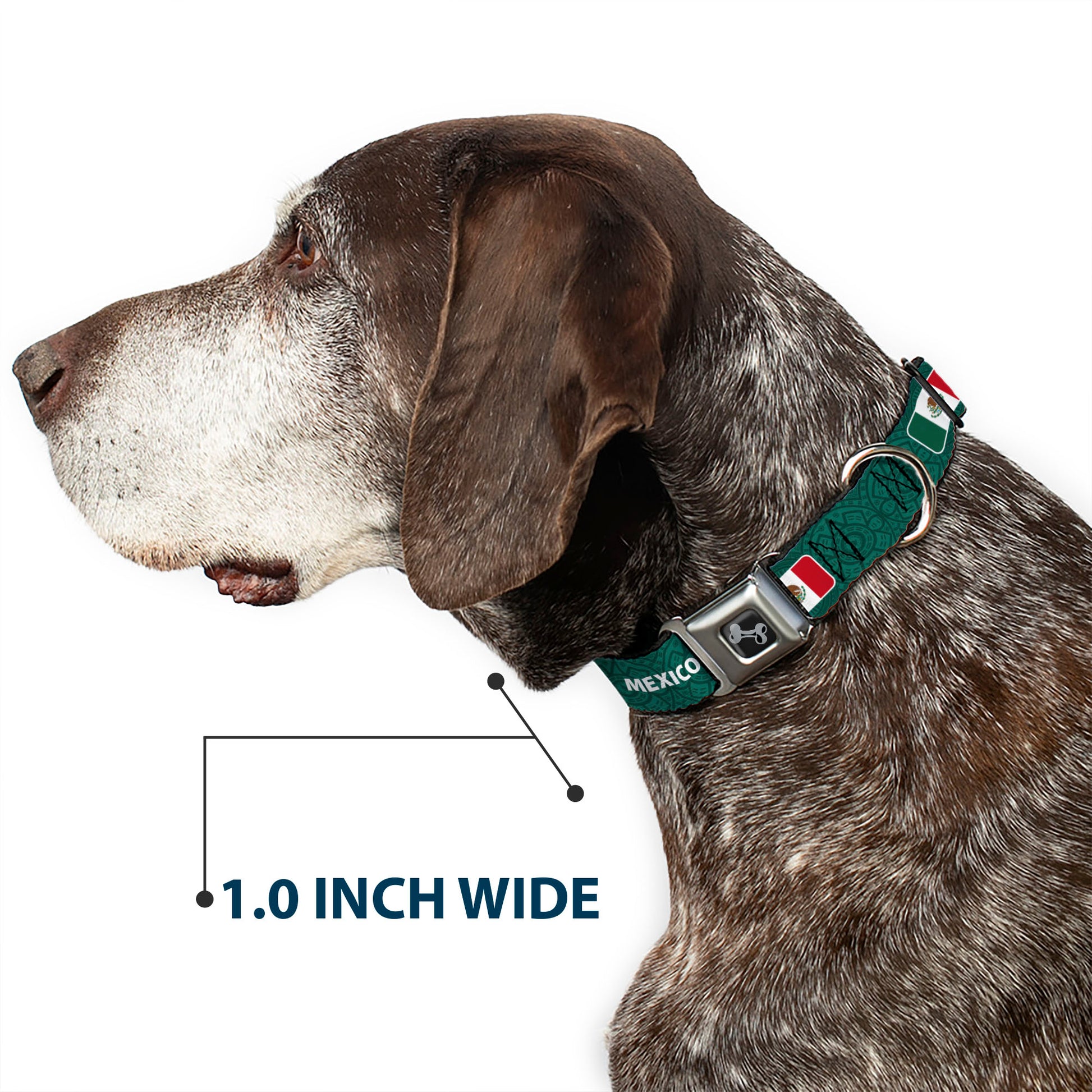 Dog Bone Black/Silver Seatbelt Buckle Collar - Global Soccer Cup Series Mexico Spirit Flag Seatbelt Buckle Collars Buckle-Down