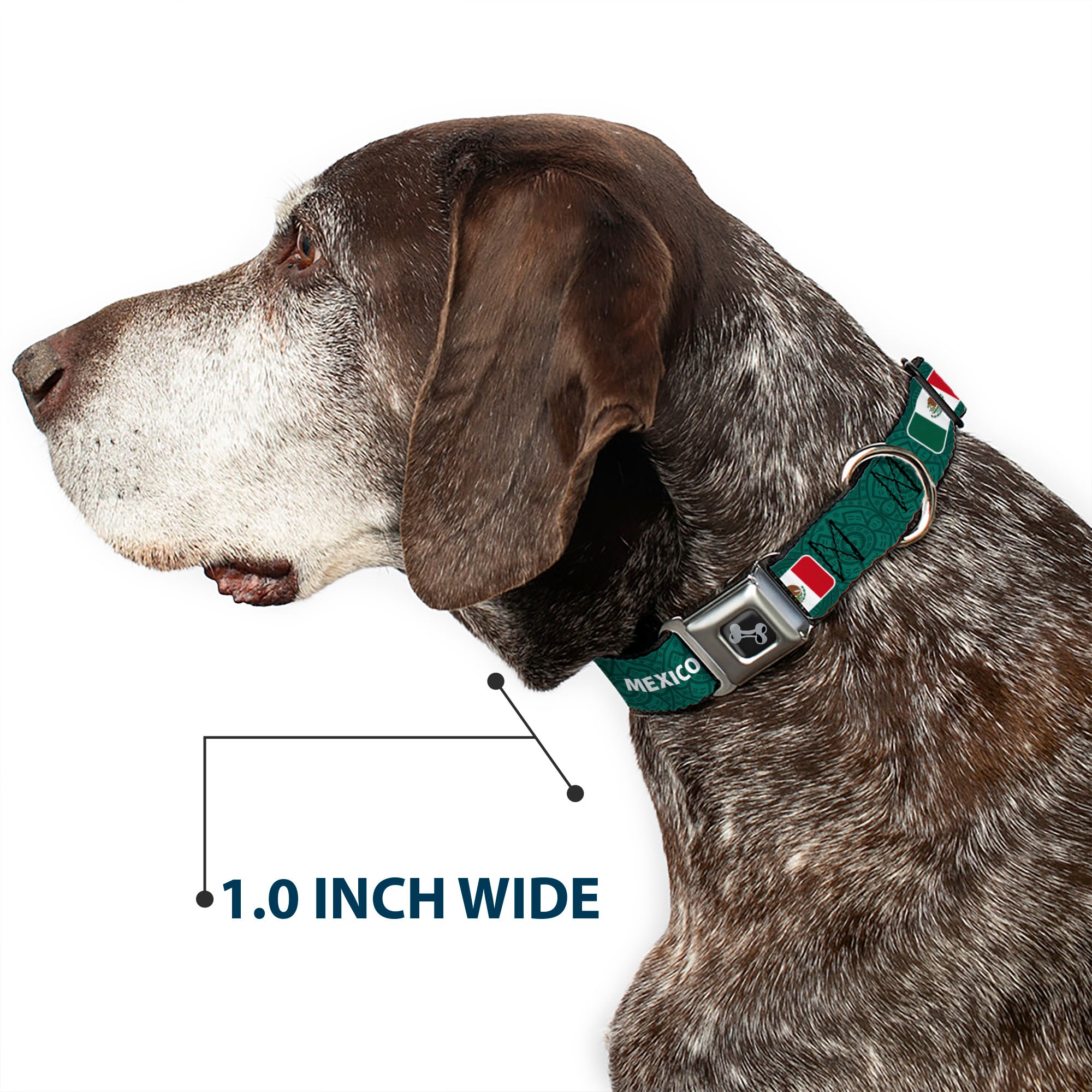 Dog Bone Black/Silver Seatbelt Buckle Collar - Global Soccer Cup Series Mexico Spirit Flag Seatbelt Buckle Collars Buckle-Down