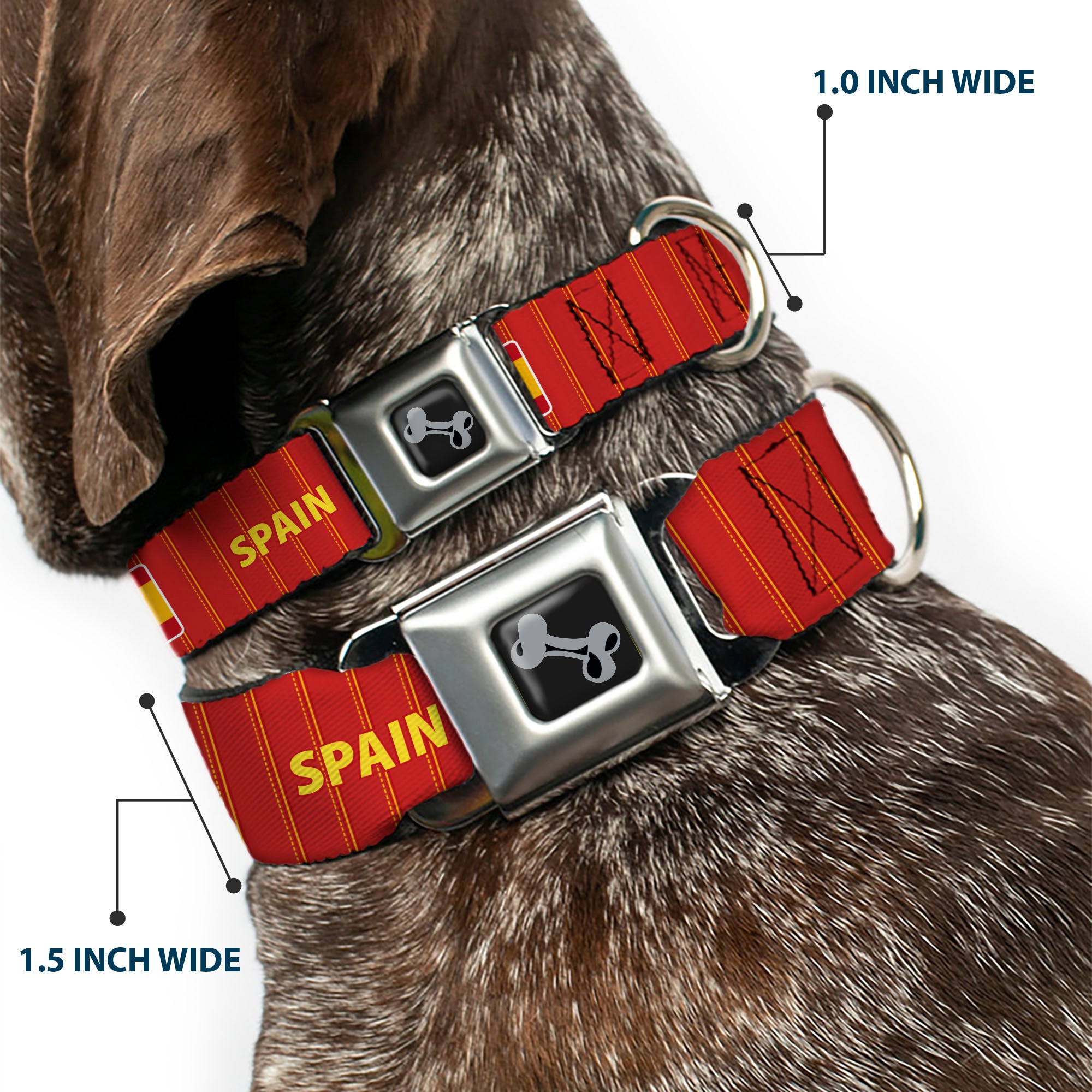 Dog Bone Black/Silver Seatbelt Buckle Collar - Global Soccer Cup Series Spain Spirit Flag Seatbelt Buckle Collars Buckle-Down