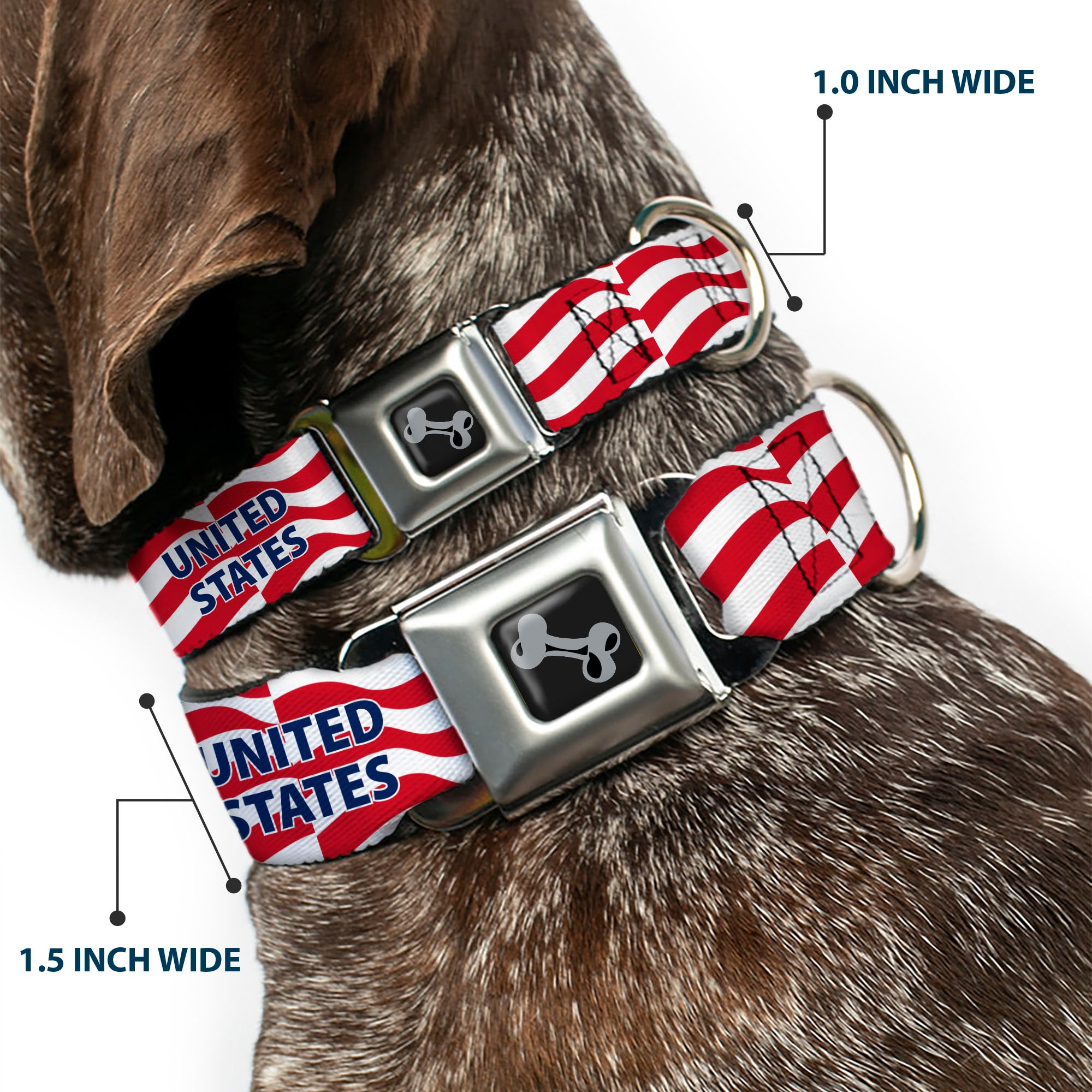 Dog Bone Black/Silver Seatbelt Buckle Collar - Global Soccer Cup Series United States Spirit Flag Seatbelt Buckle Collars Buckle-Down