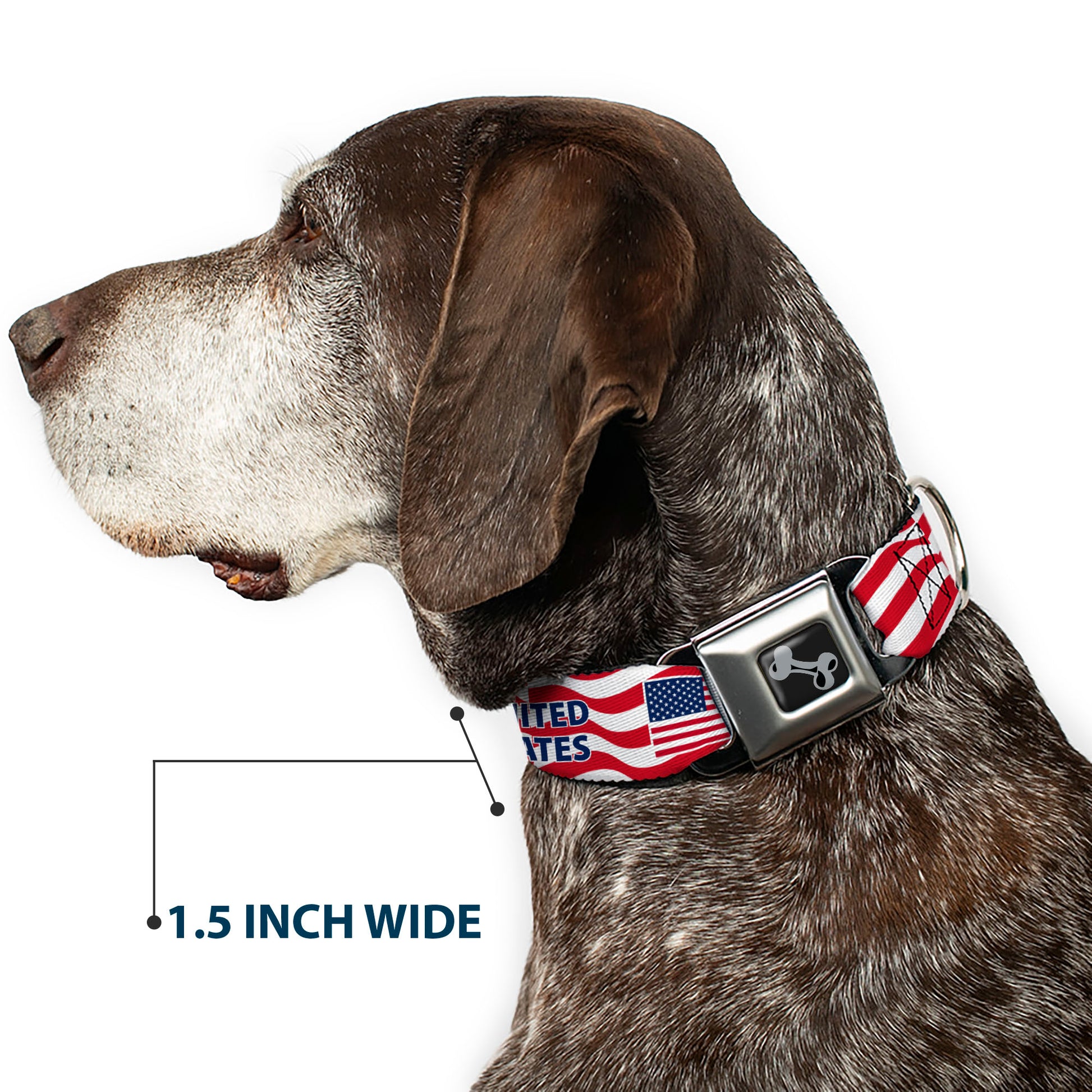 Dog Bone Black/Silver Seatbelt Buckle Collar - Global Soccer Cup Series United States Spirit Flag Seatbelt Buckle Collars Buckle-Down