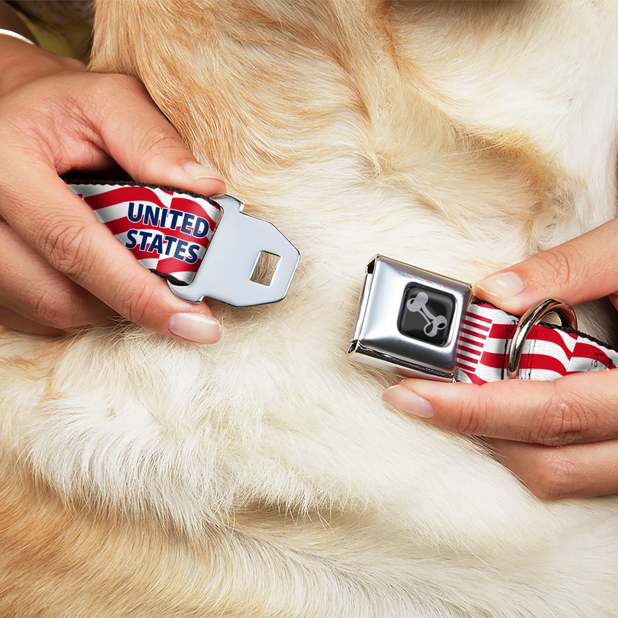 Dog Bone Black/Silver Seatbelt Buckle Collar - Global Soccer Cup Series United States Spirit Flag Seatbelt Buckle Collars Buckle-Down