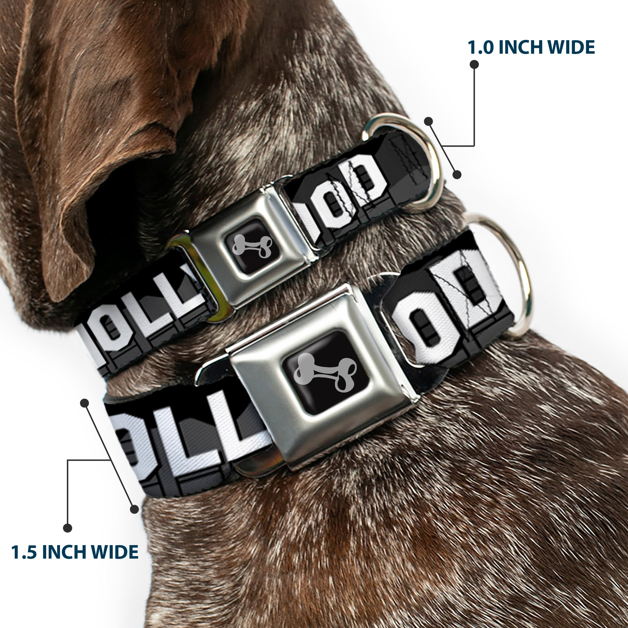 Dog Bone Seatbelt Buckle Collar - HOLLYWOOD Sign Skyline Black/Grays/White Seatbelt Buckle Collars Buckle-Down