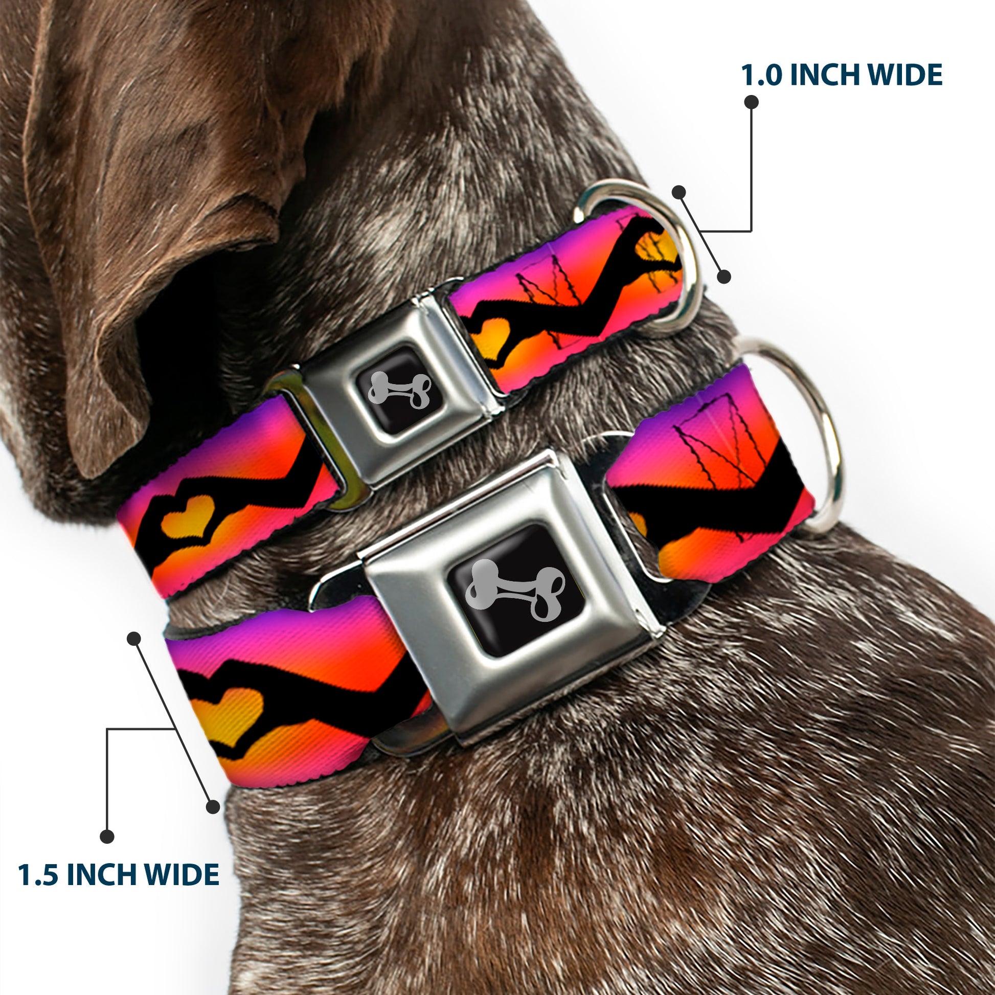 Dog Bone Seatbelt Buckle Collar - Hand Heart Silhouette Ombre Purples/Orange/Pinks Seatbelt Buckle Collars Buckle-Down