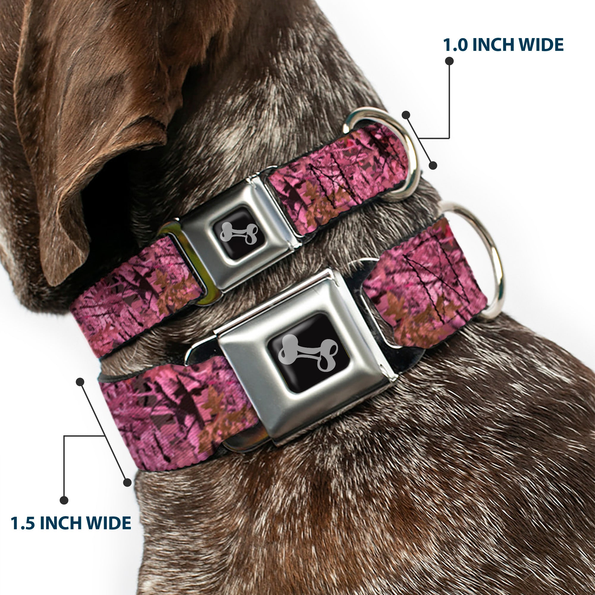 Dog Bone Seatbelt Buckle Collar - Hunting Camo Pinks Seatbelt Buckle Collars Buckle-Down