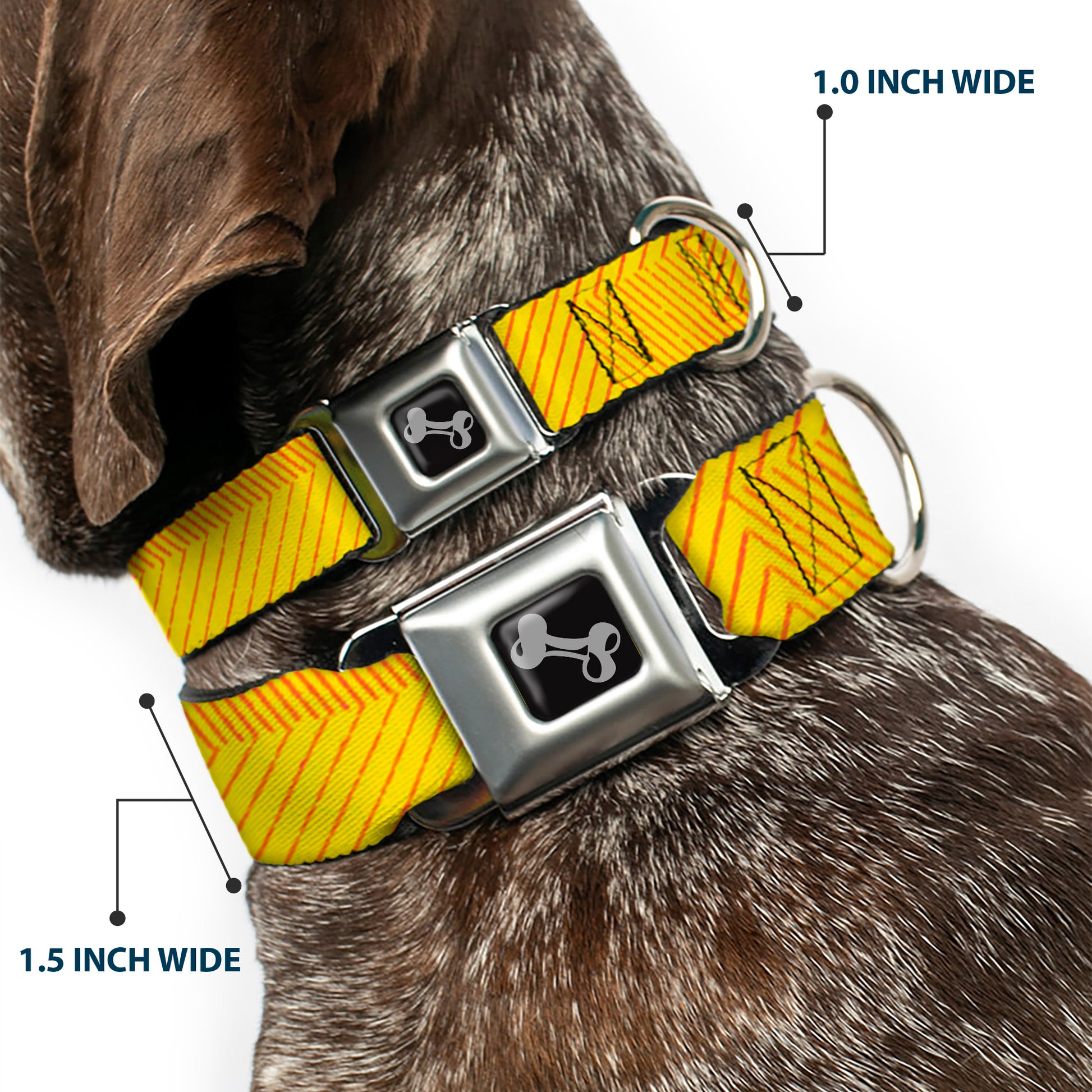 Dog Bone Seatbelt Buckle Collar - Hash Mark Stripe Yellow/Red Seatbelt Buckle Collars Buckle-Down
