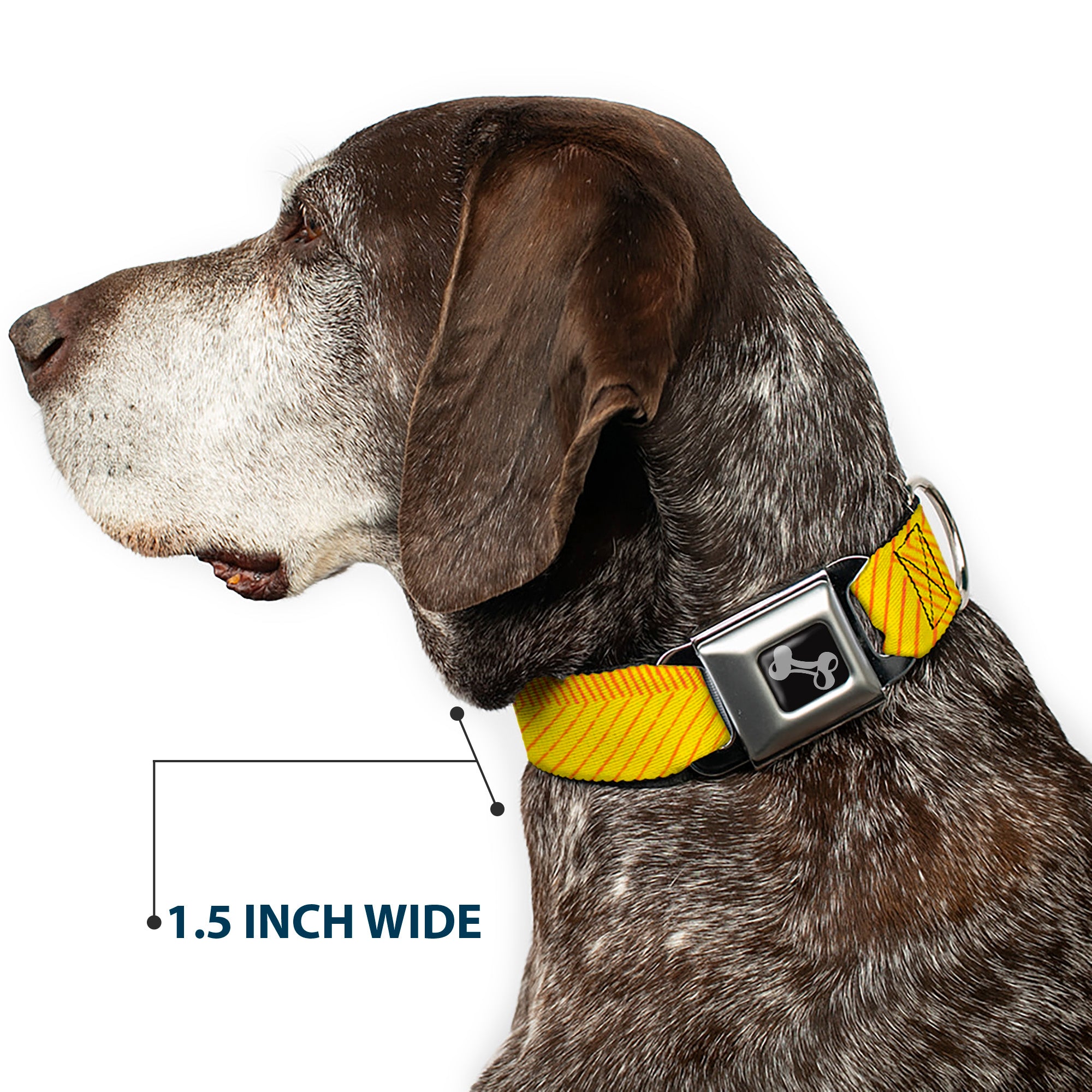 Dog Bone Seatbelt Buckle Collar - Hash Mark Stripe Yellow/Red Seatbelt Buckle Collars Buckle-Down
