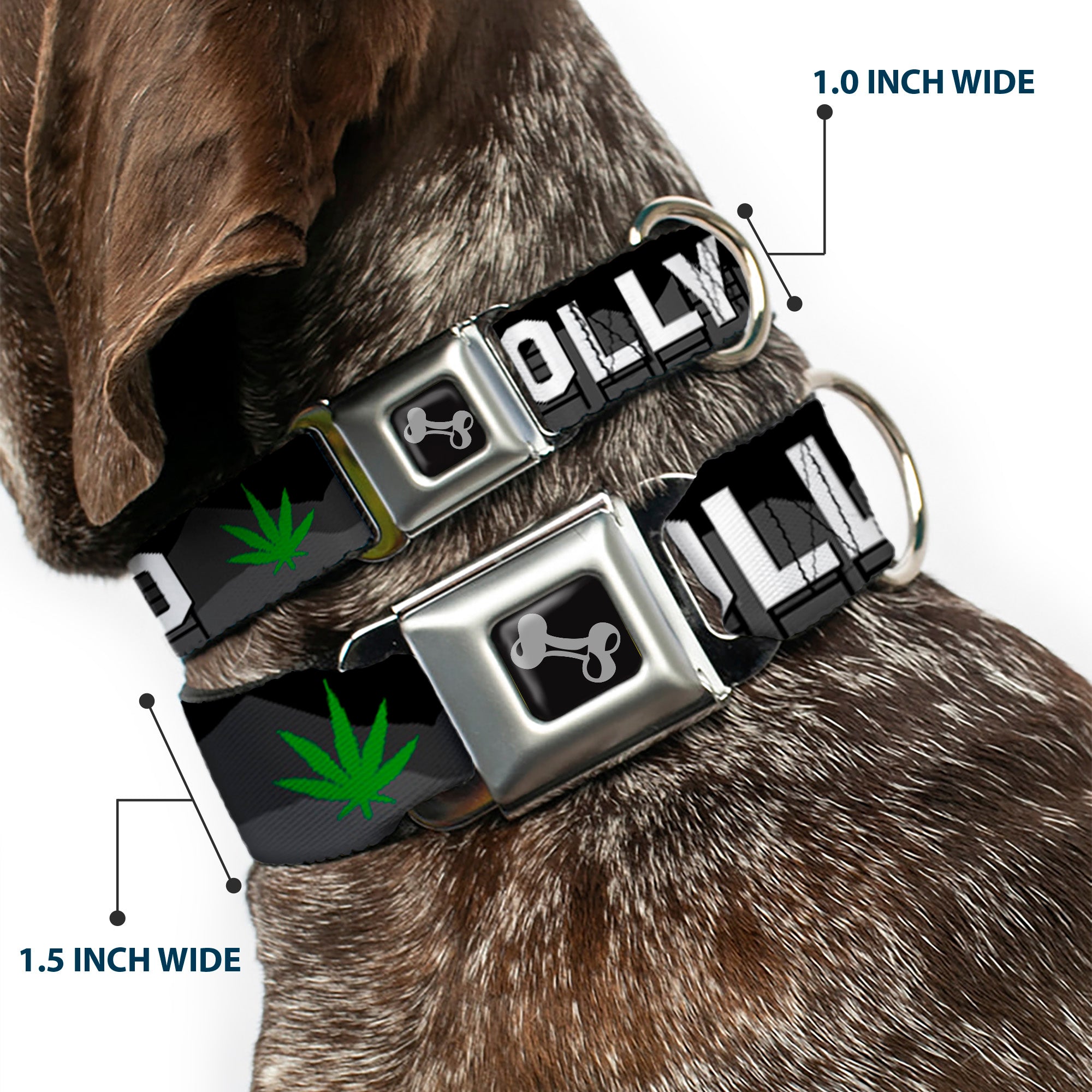 Dog Bone Seatbelt Buckle Collar - HOLLYWEED Sign Skyline/Pot Leaf Black/Grays/White/Green Seatbelt Buckle Collars Buckle-Down
