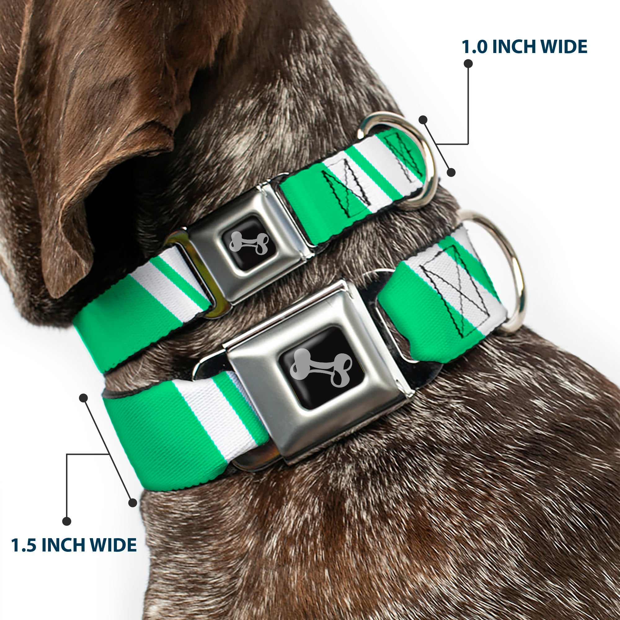 Dog Bone Seatbelt Buckle Collar - Hash Mark Stripe Double Green/Silver Seatbelt Buckle Collars Buckle-Down